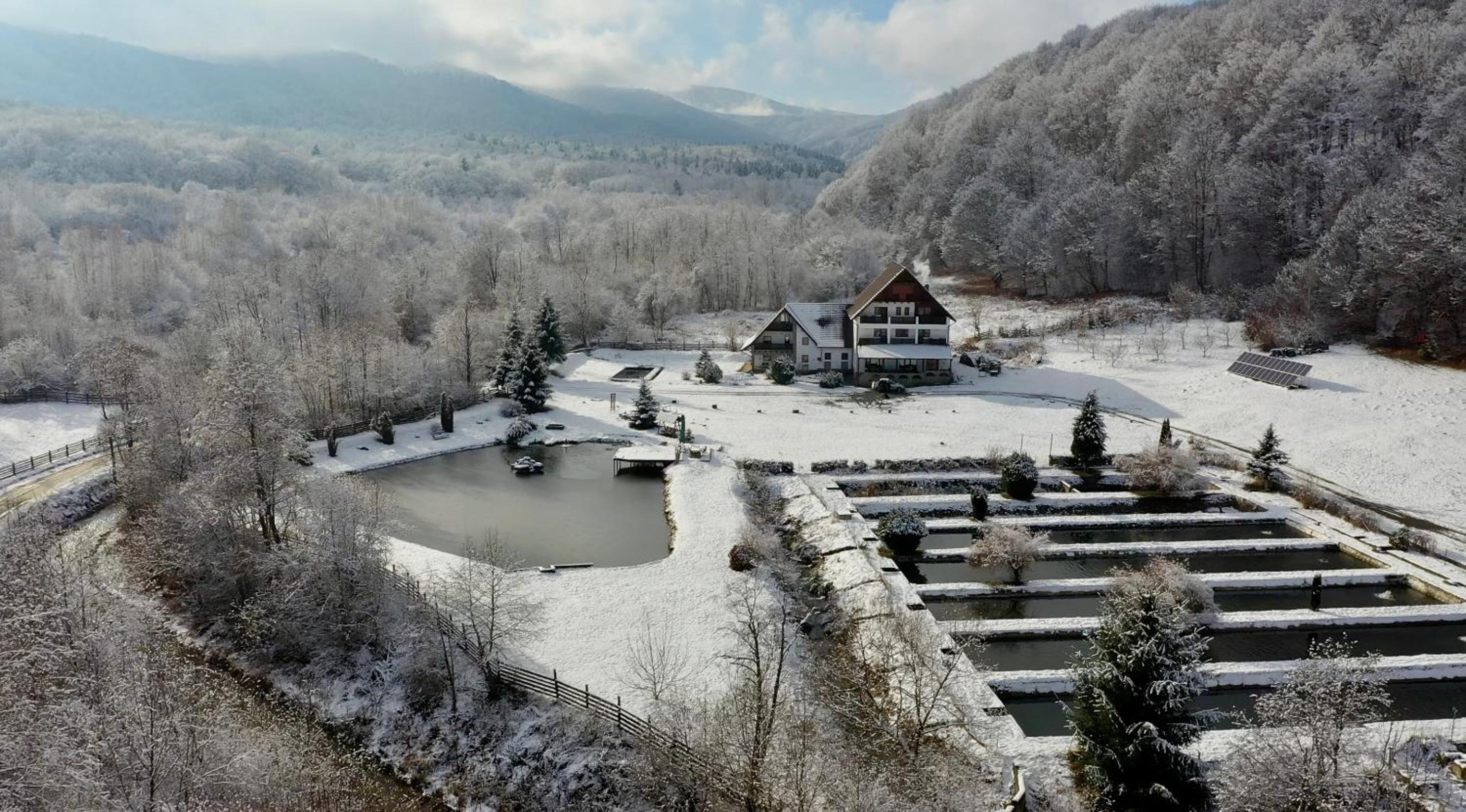 Valea Salbatica