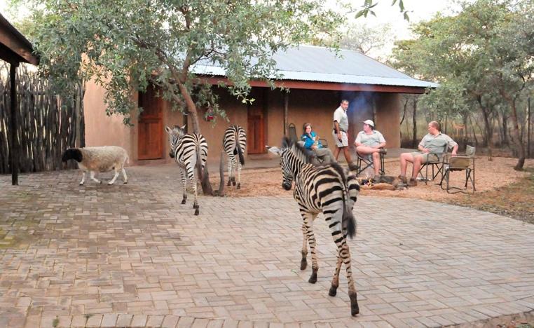 Sondela Nature Reserve & Spa Makhato Lodges view 3