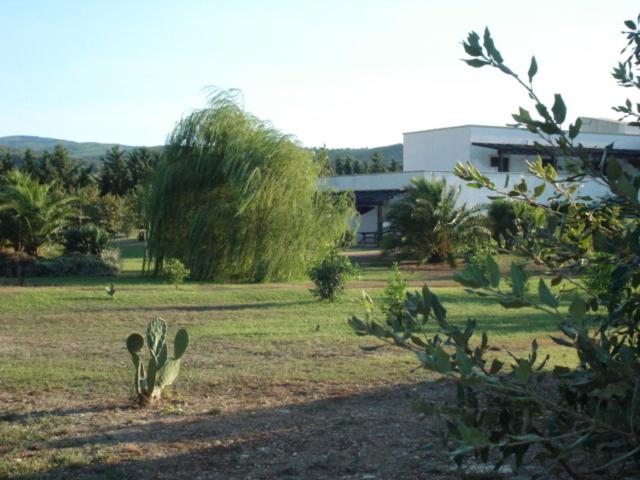 Photo 26