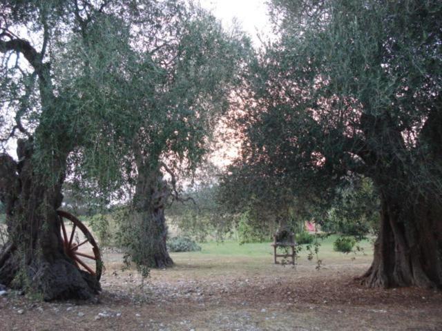Photo 27