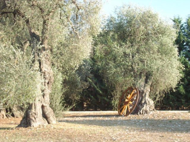 Photo 31