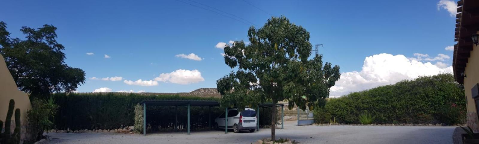 Photo 8