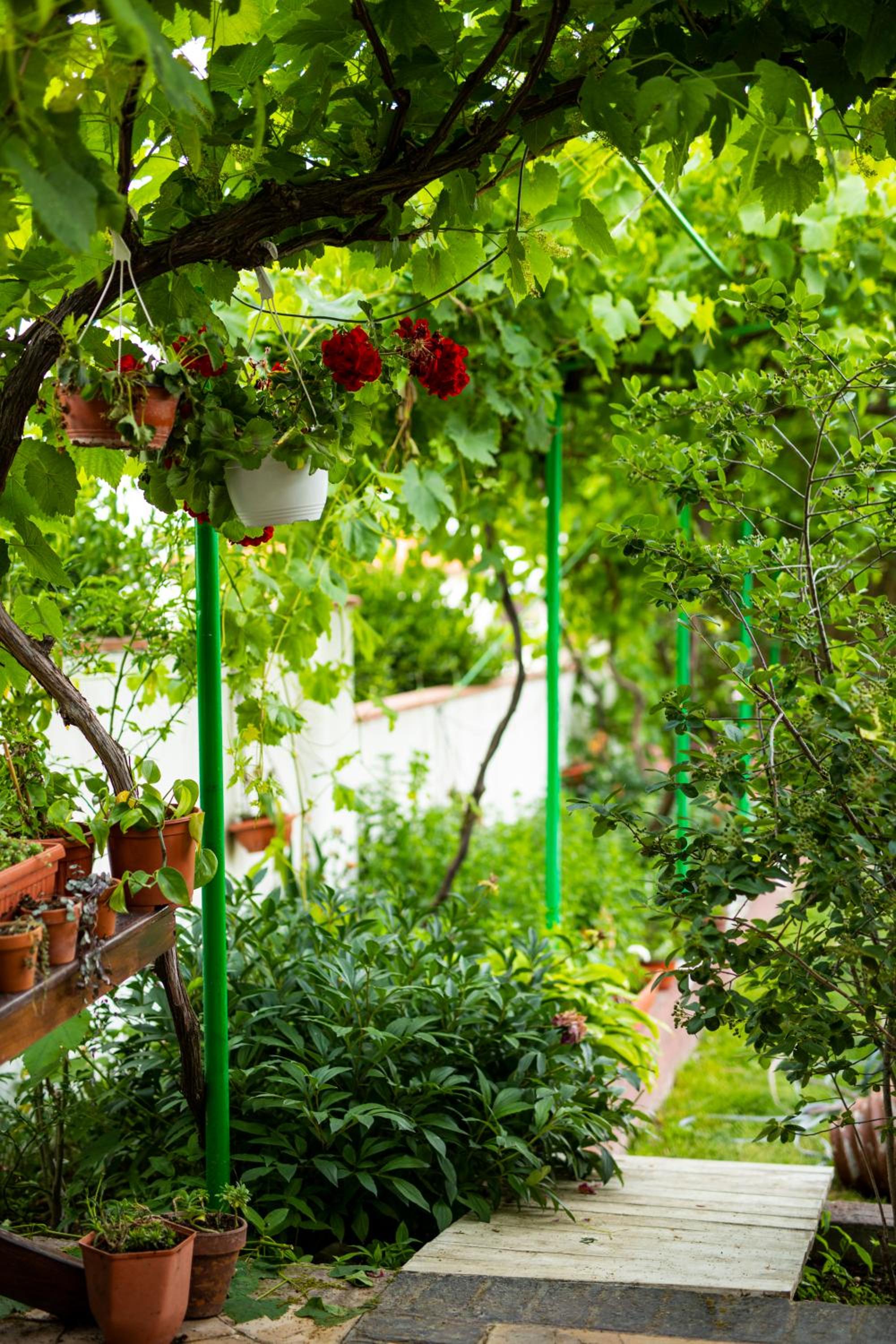 Cherry Villa