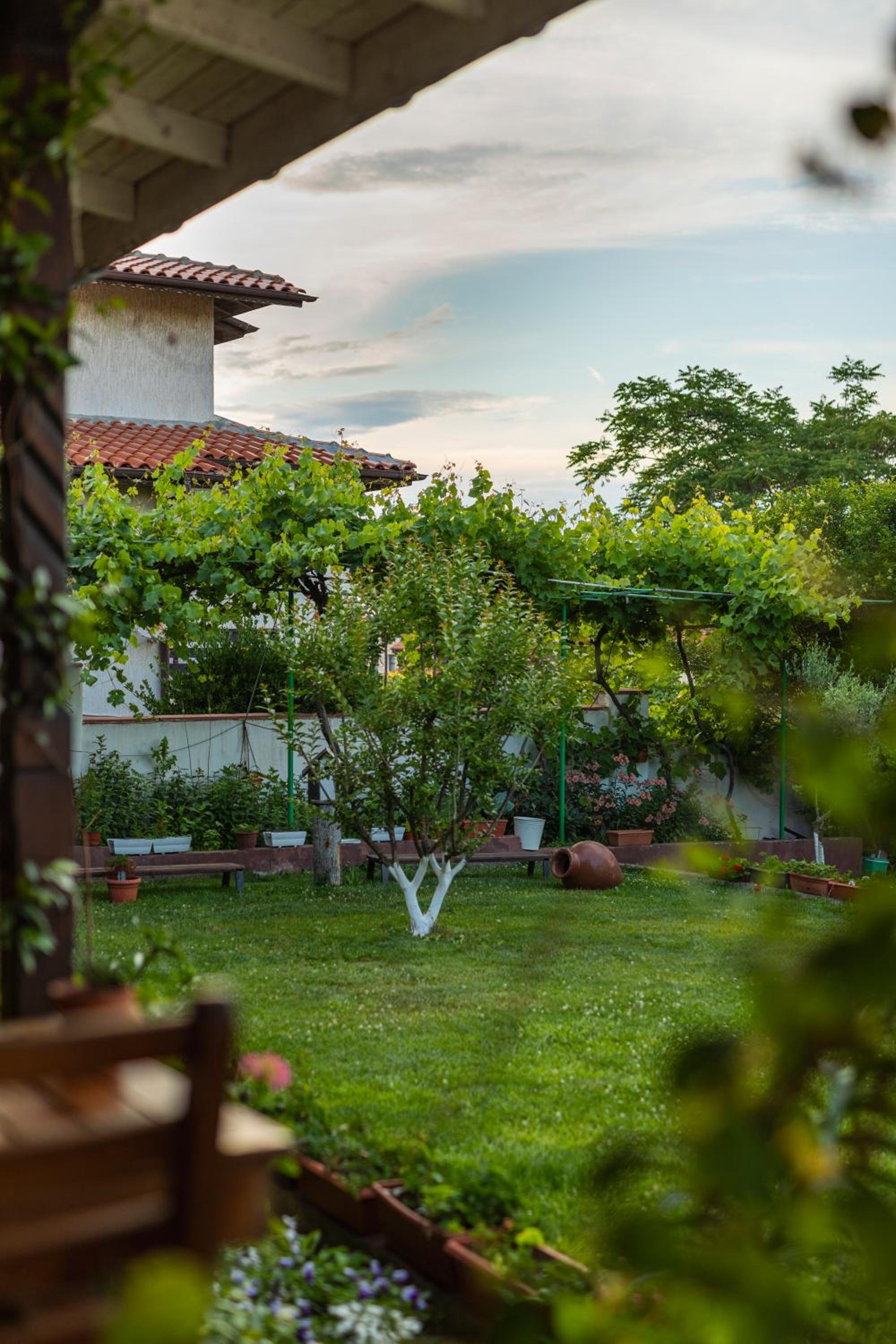 Cherry Villa