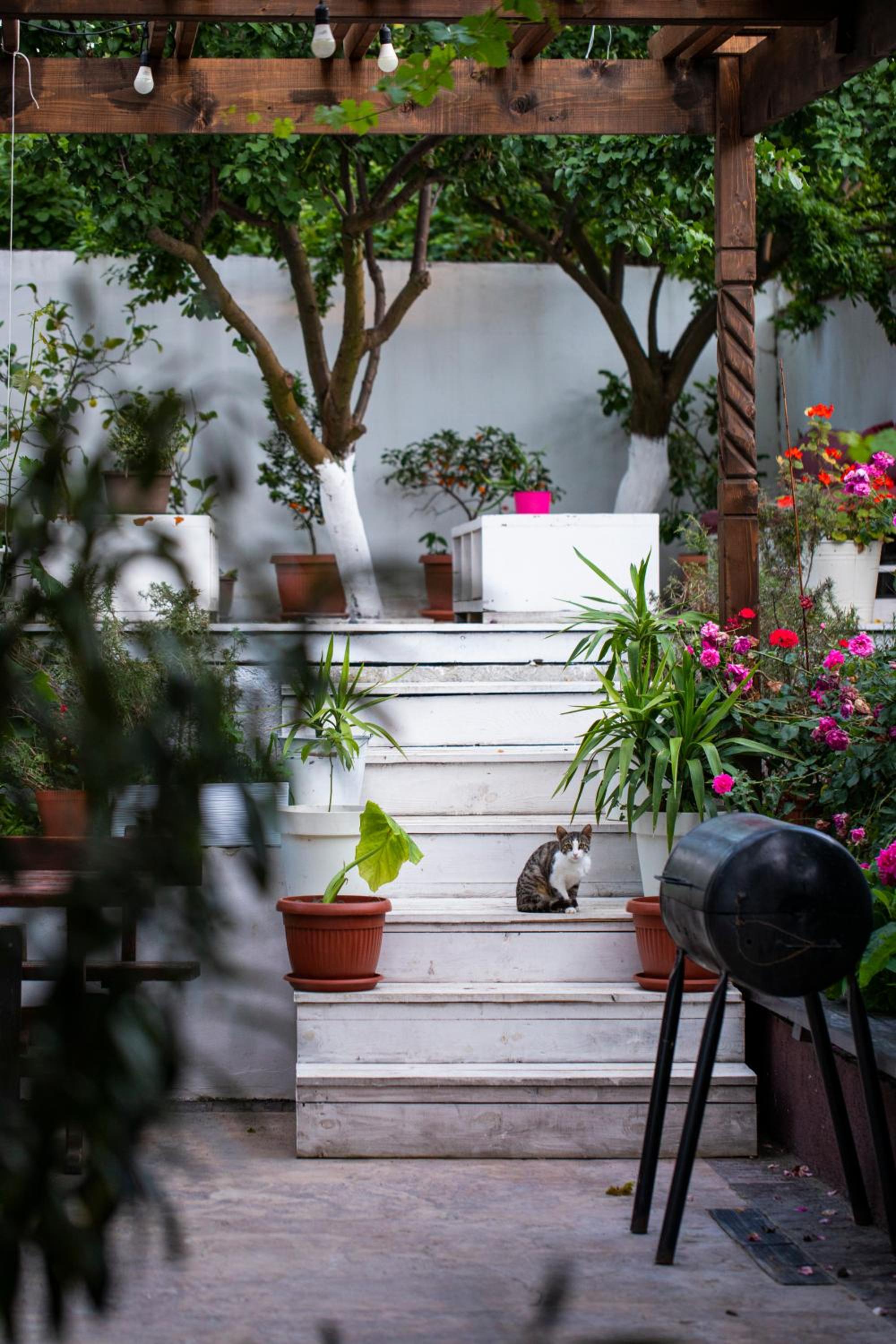 Cherry Villa