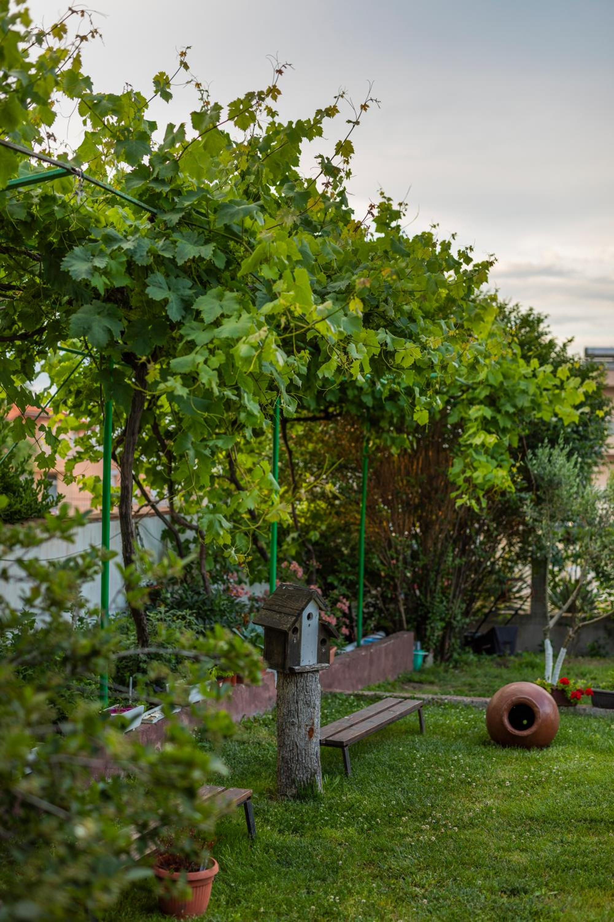 Cherry Villa