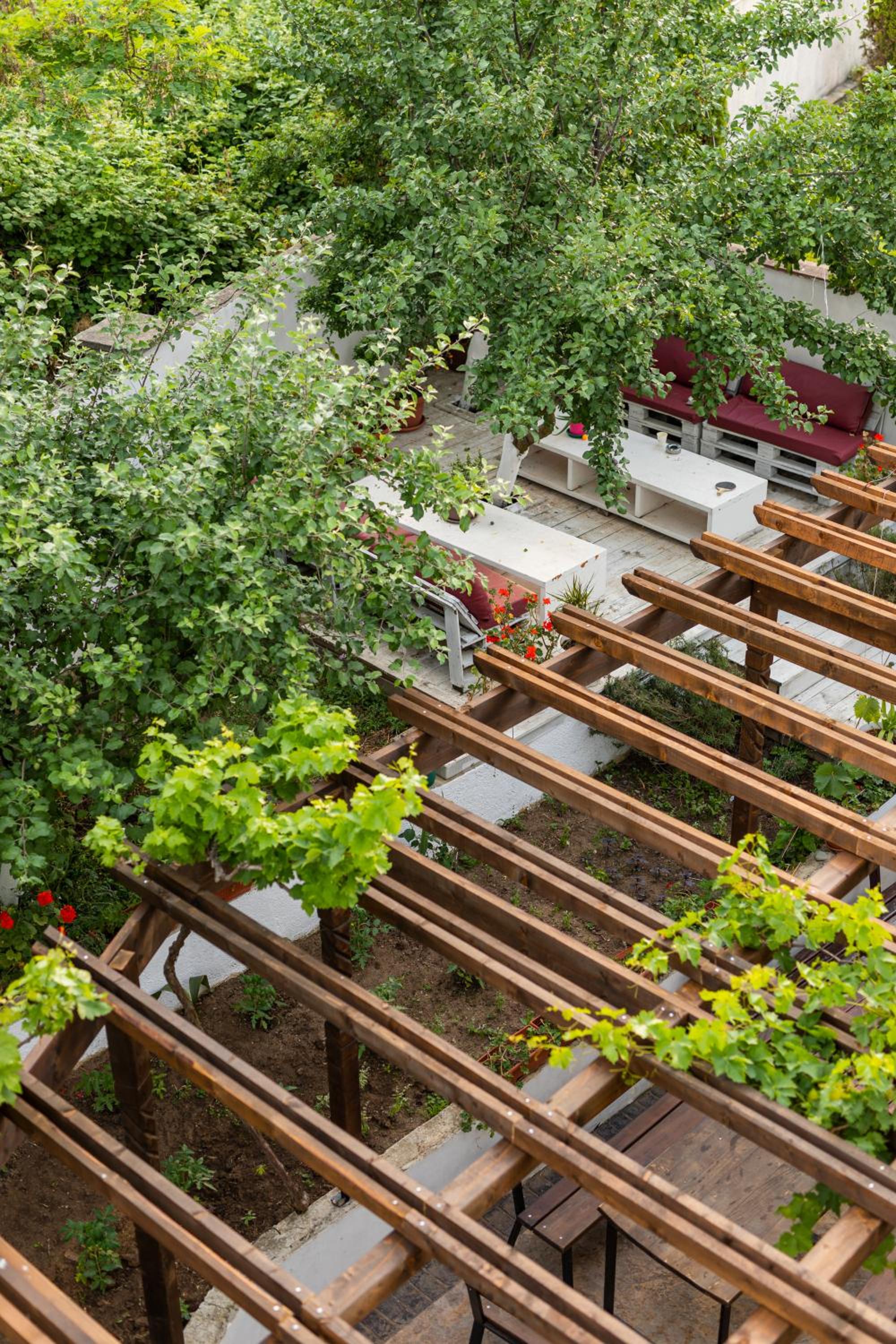 Cherry Villa