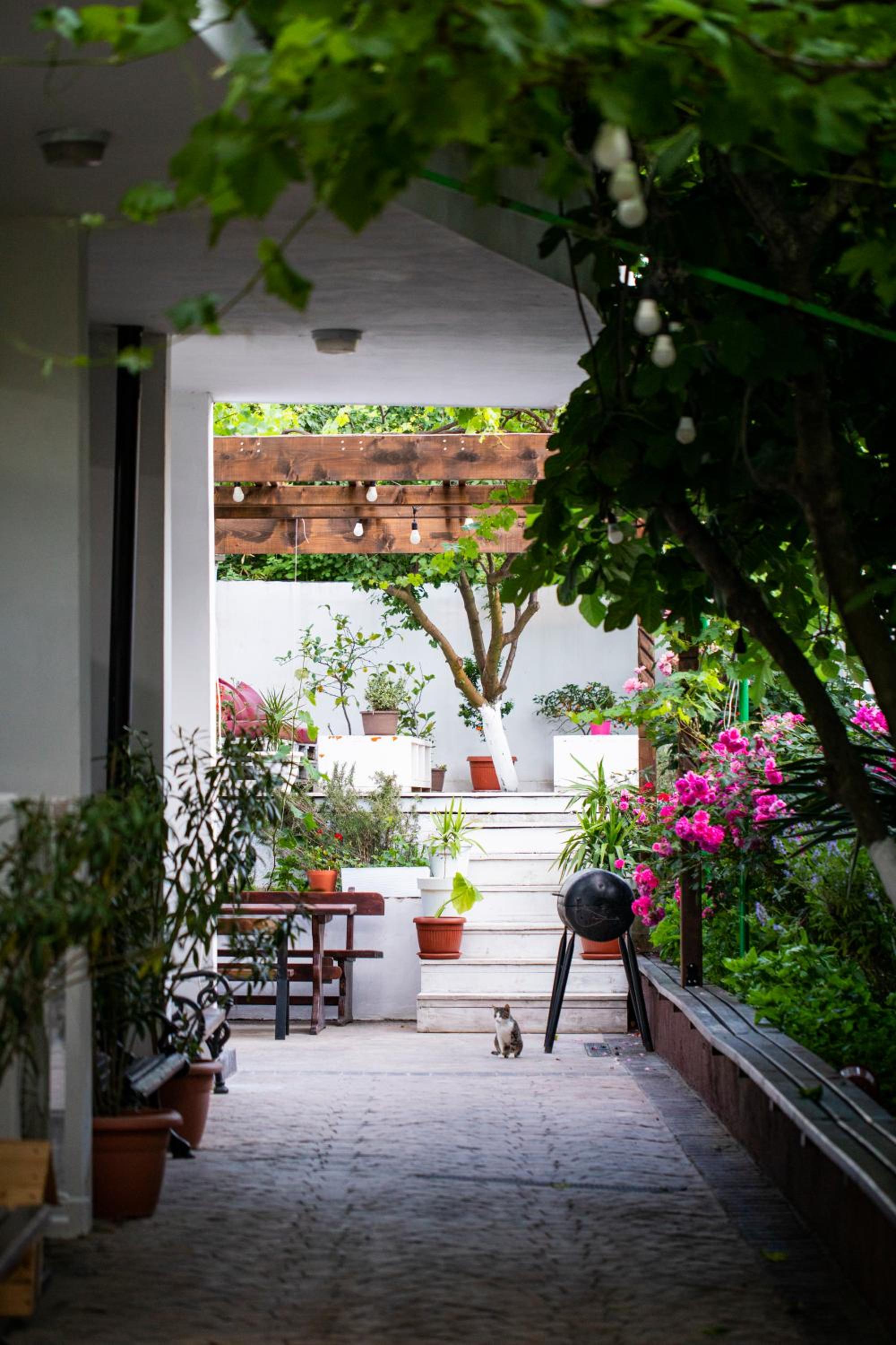 Cherry Villa