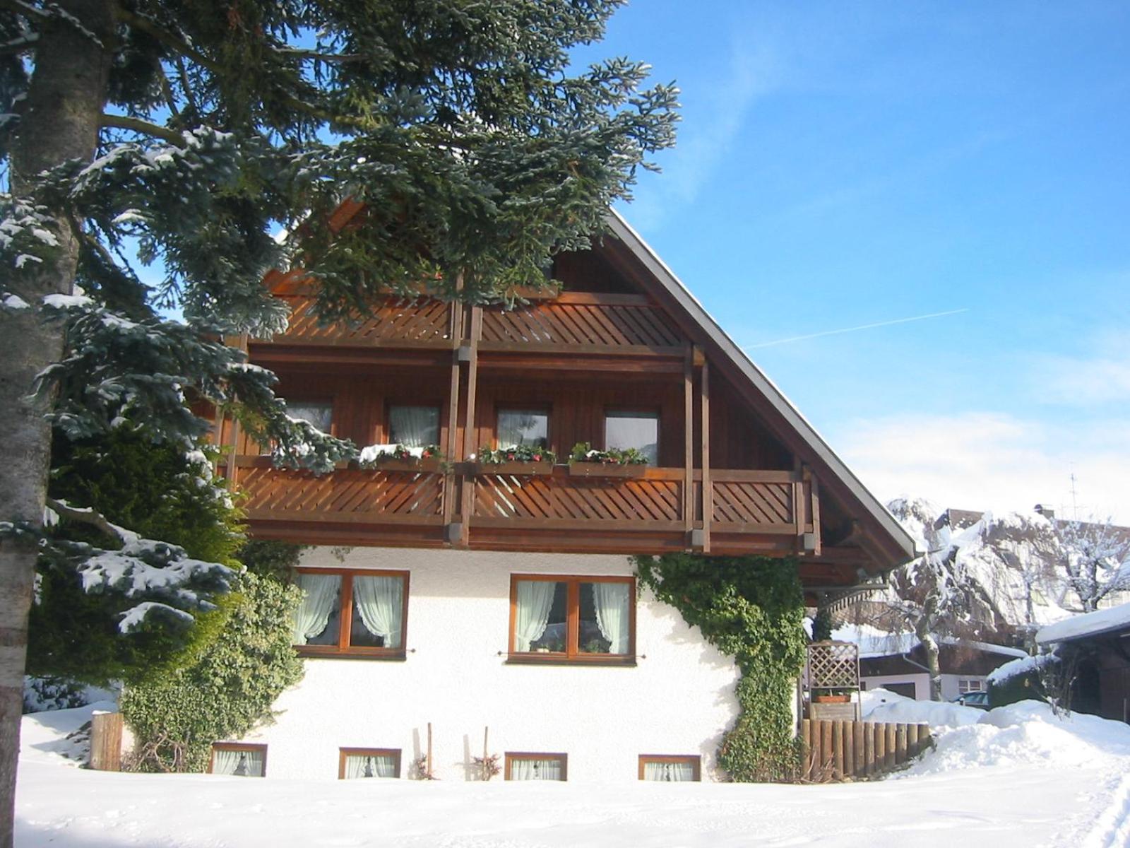 Photo 23
