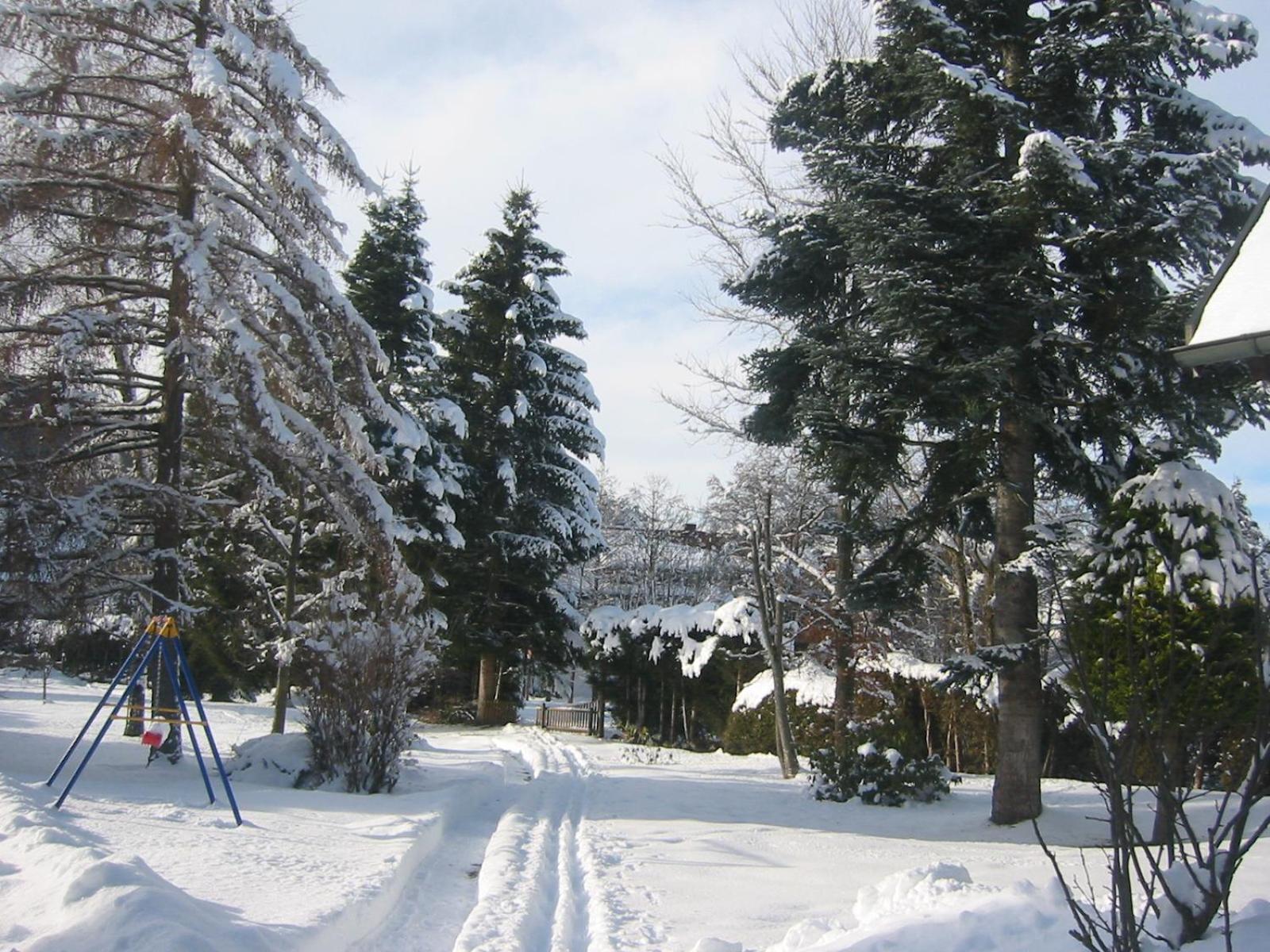 Photo 25