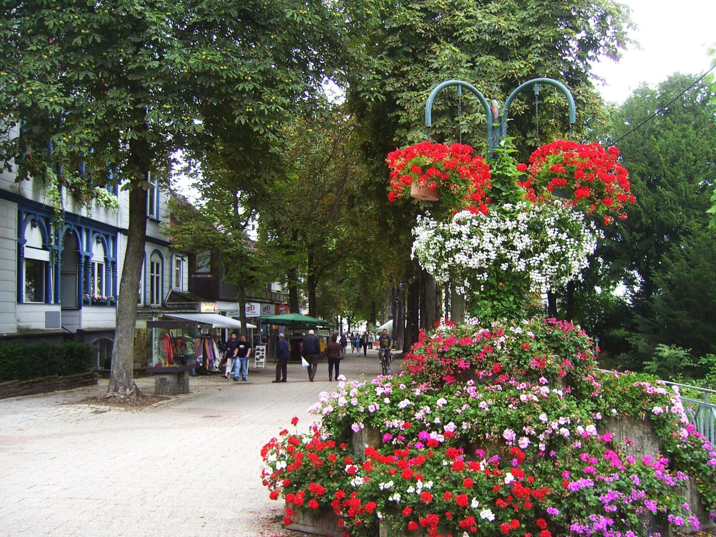 Harzburger Ferienwohnung