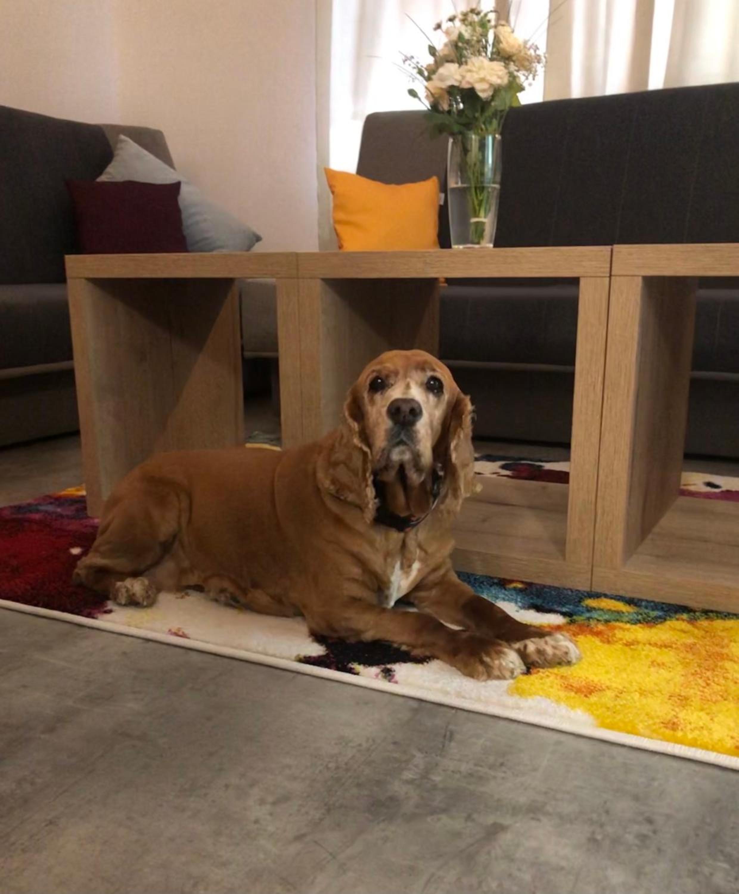 Jeseníky Apartmán číslo 5