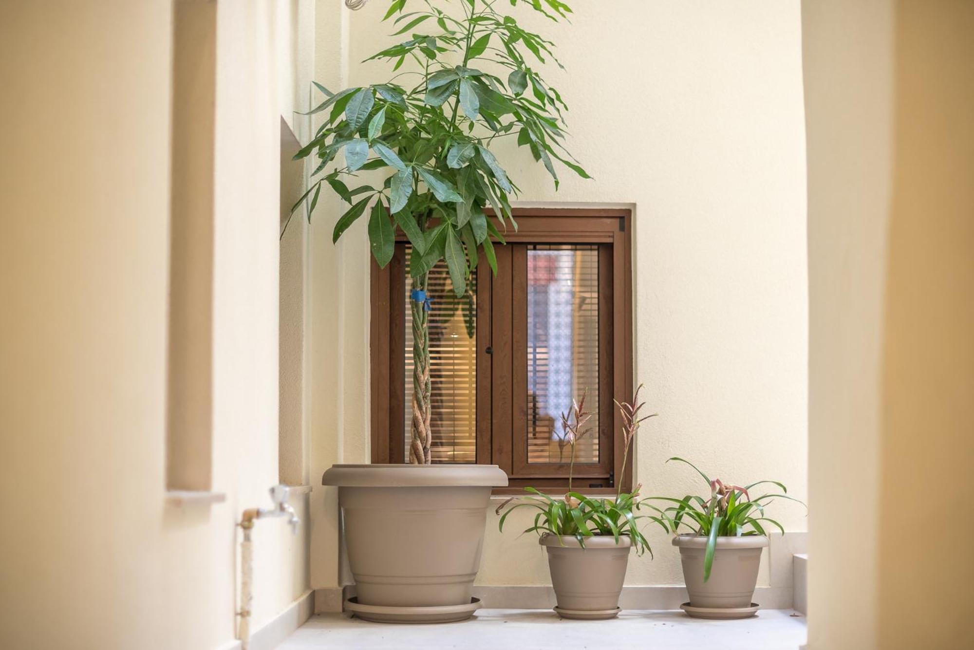 Apollonos 28 Luxury Suites