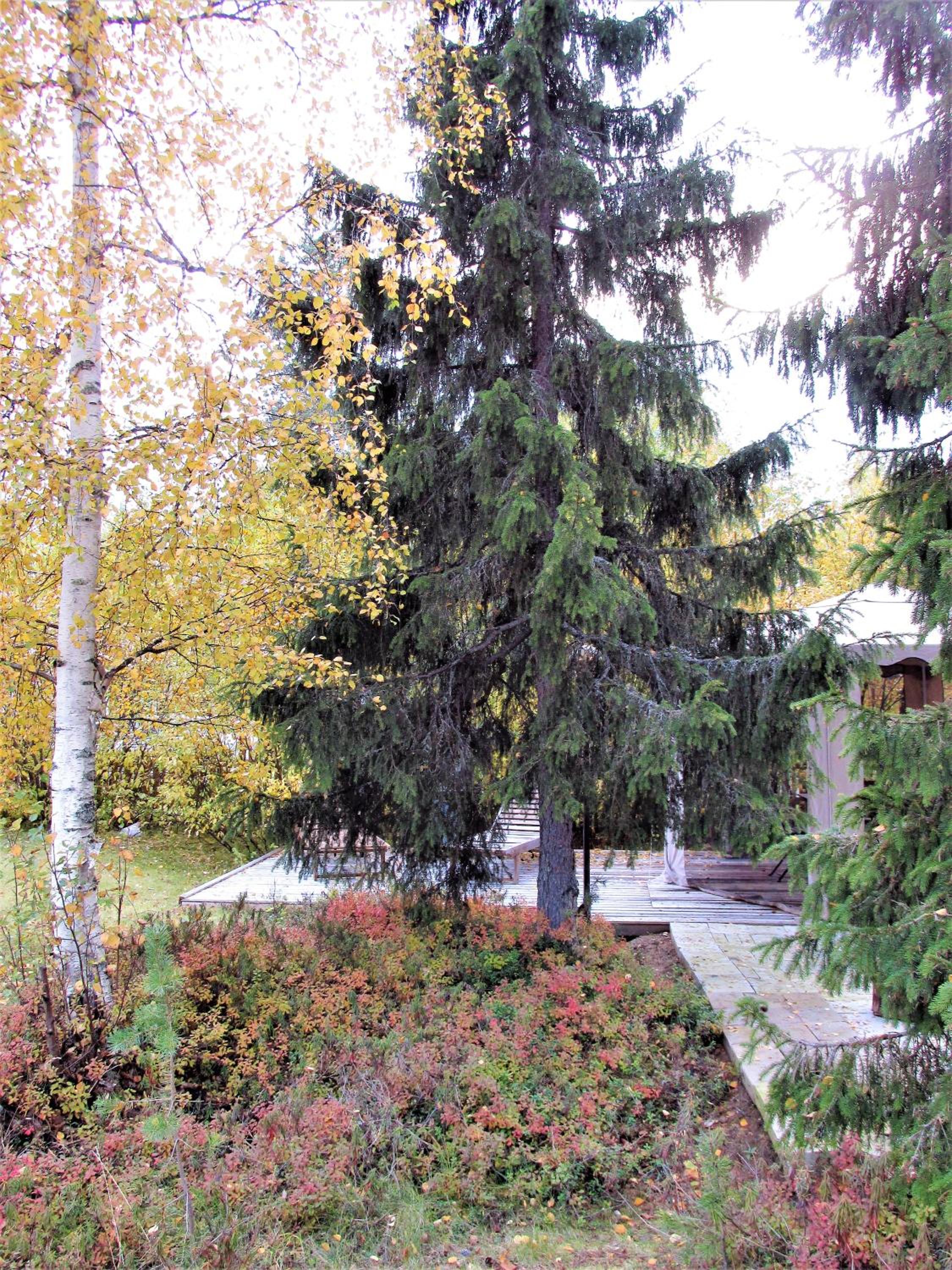Photo 21