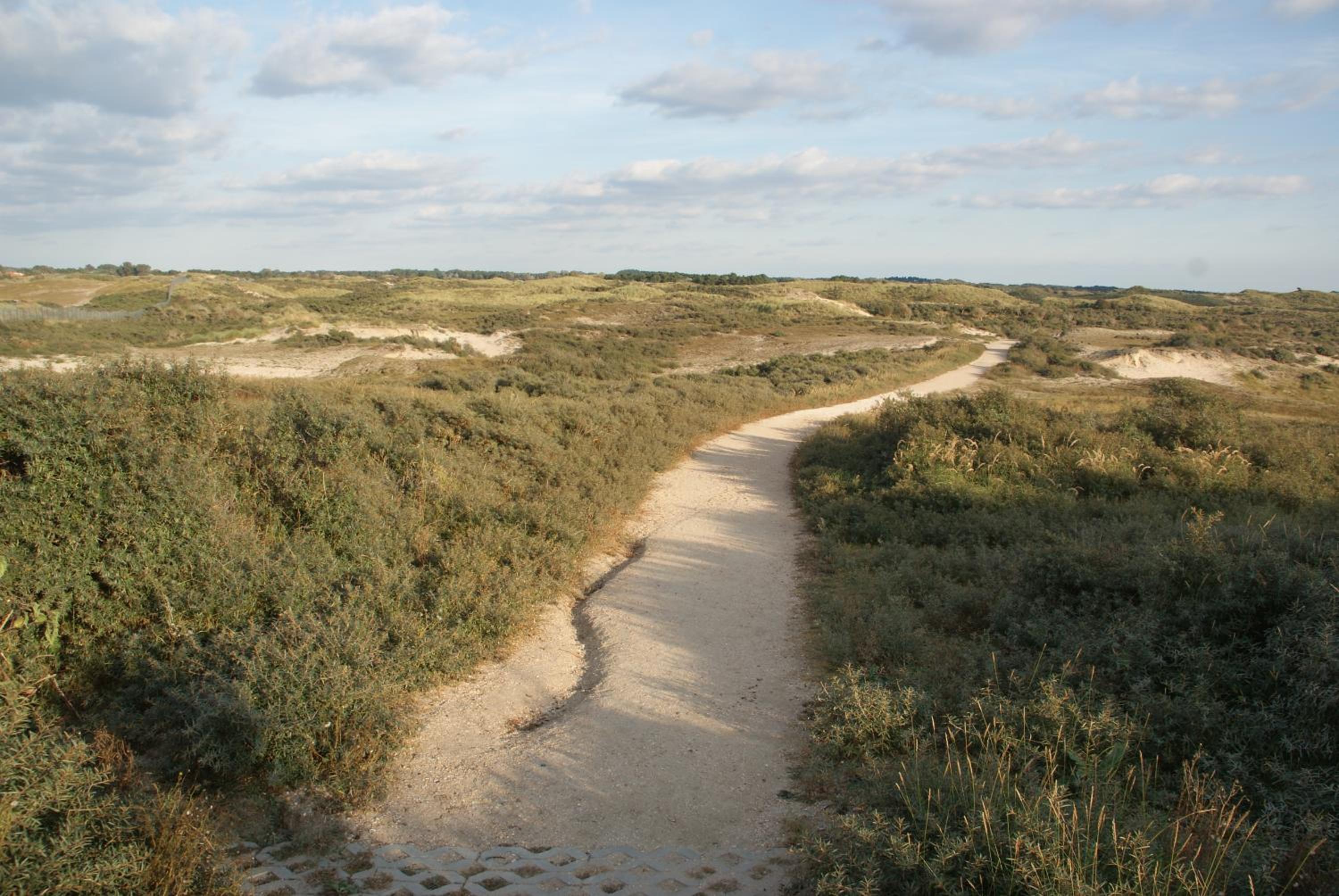 Huis Zeeduin Amsterdam Beach view 2