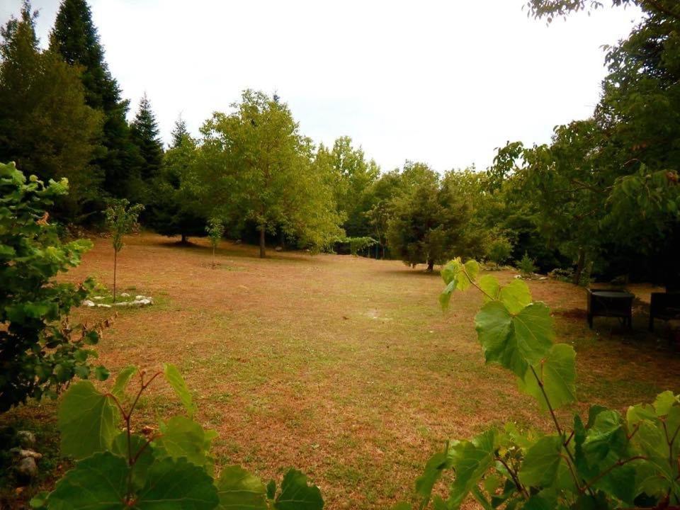 Photo 48