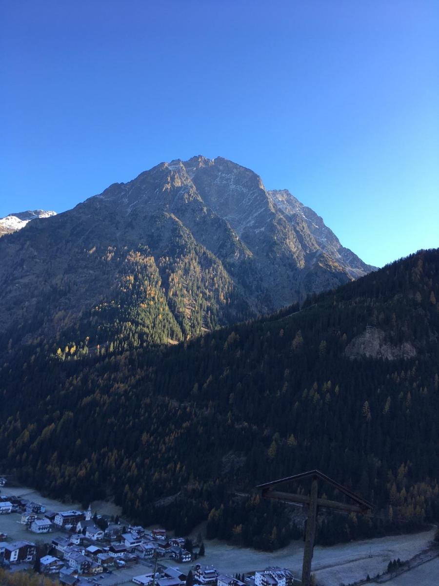 Ögghof 222