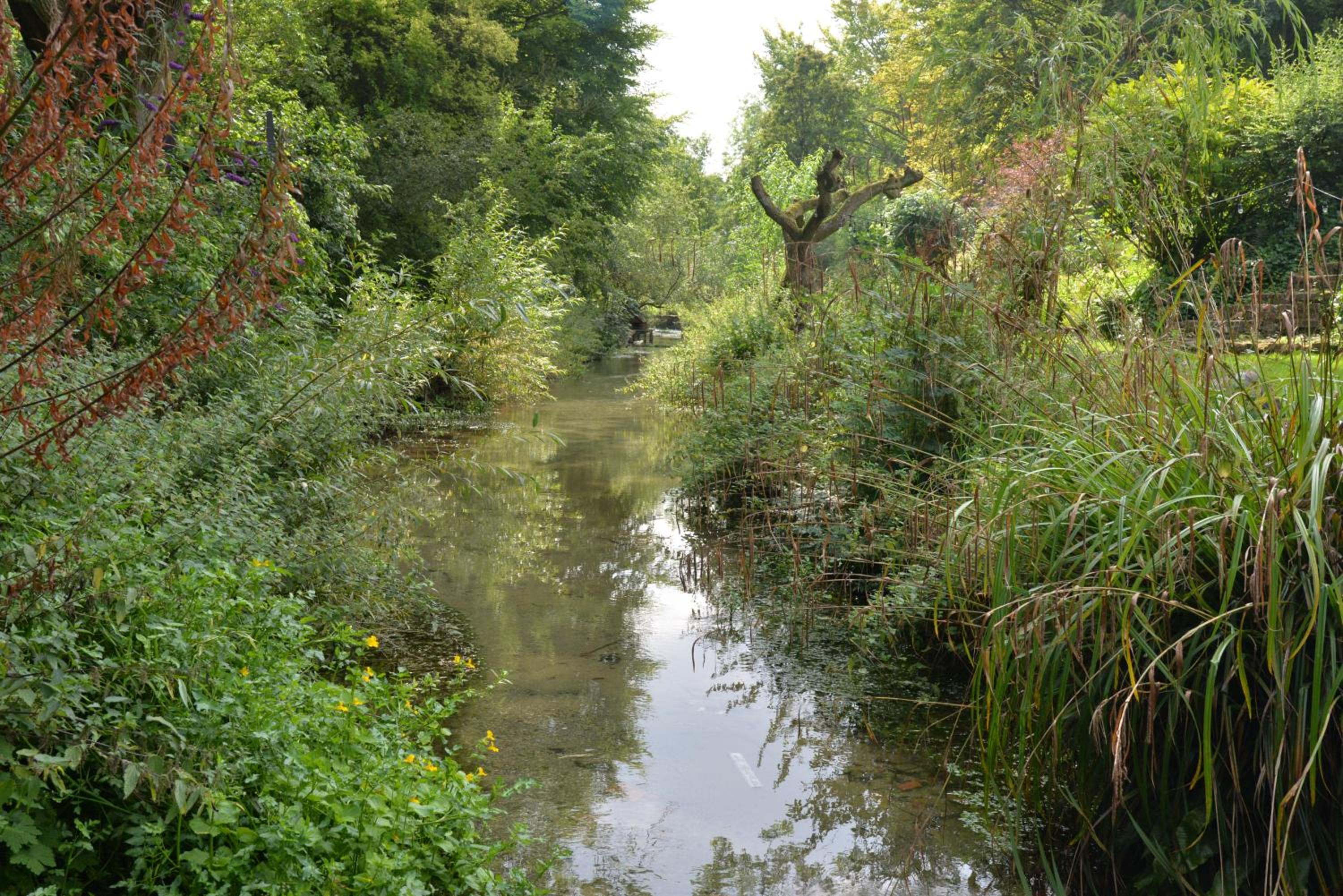 Photo 8