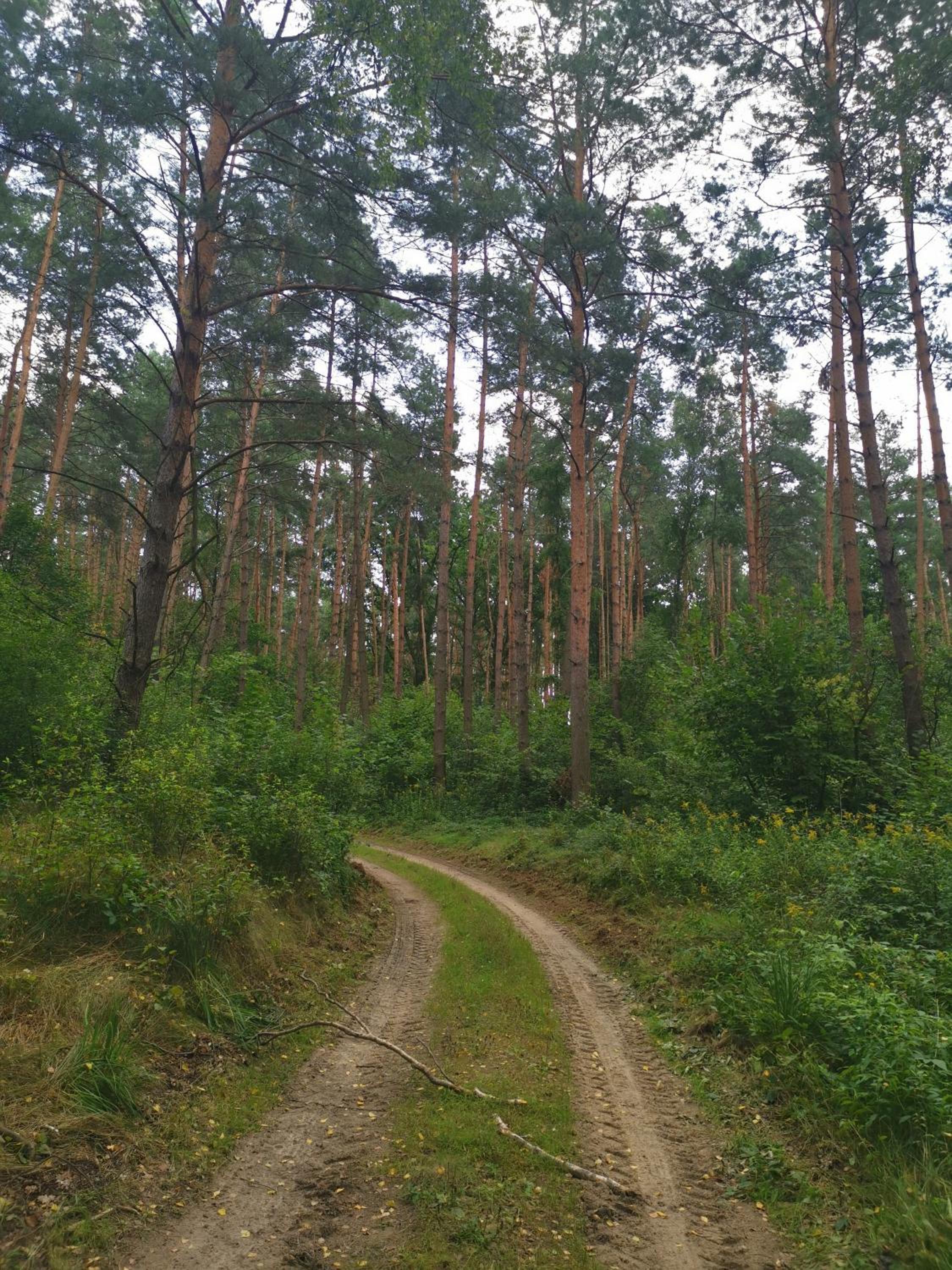 Photo 33