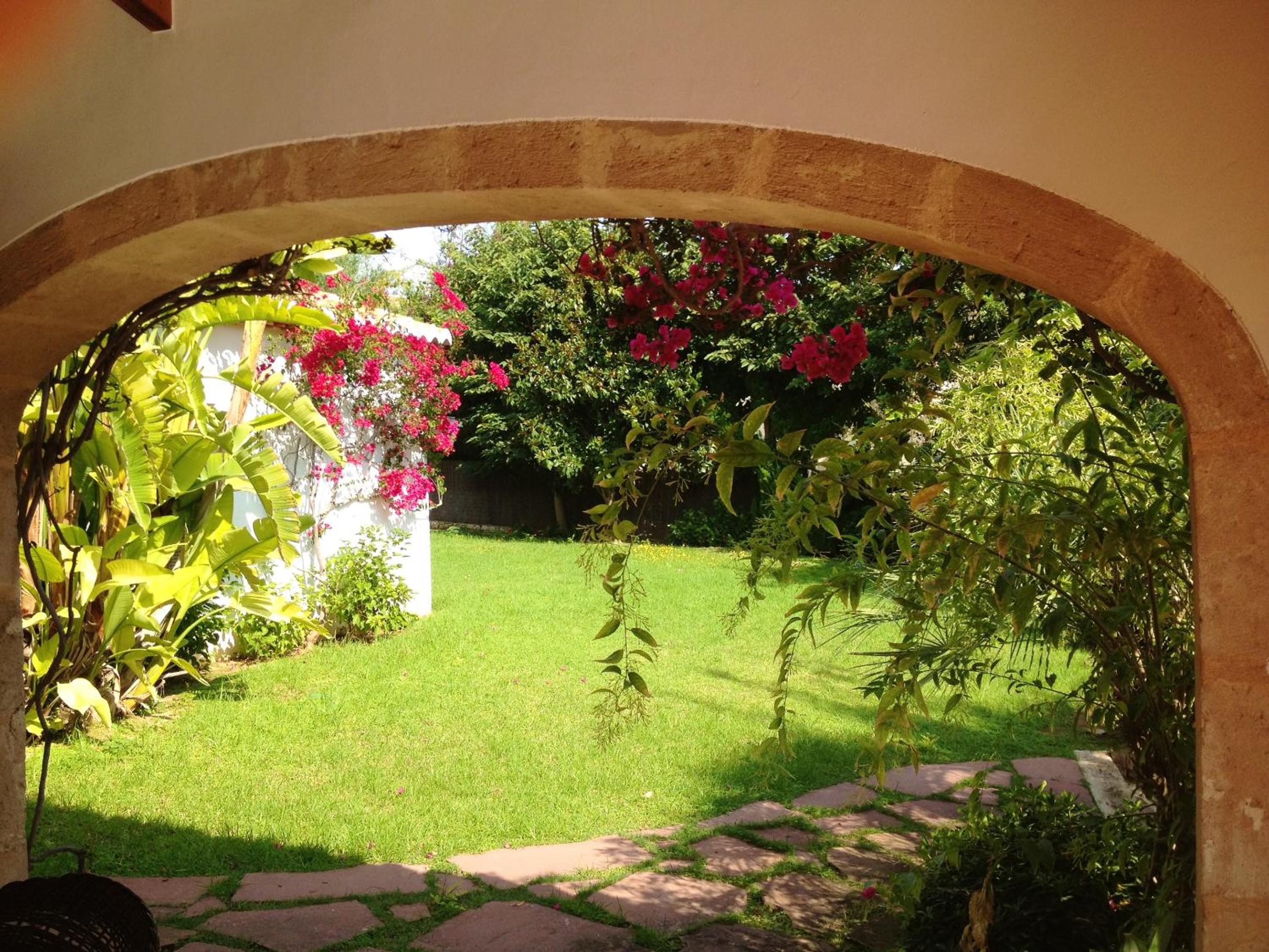 Photo 16