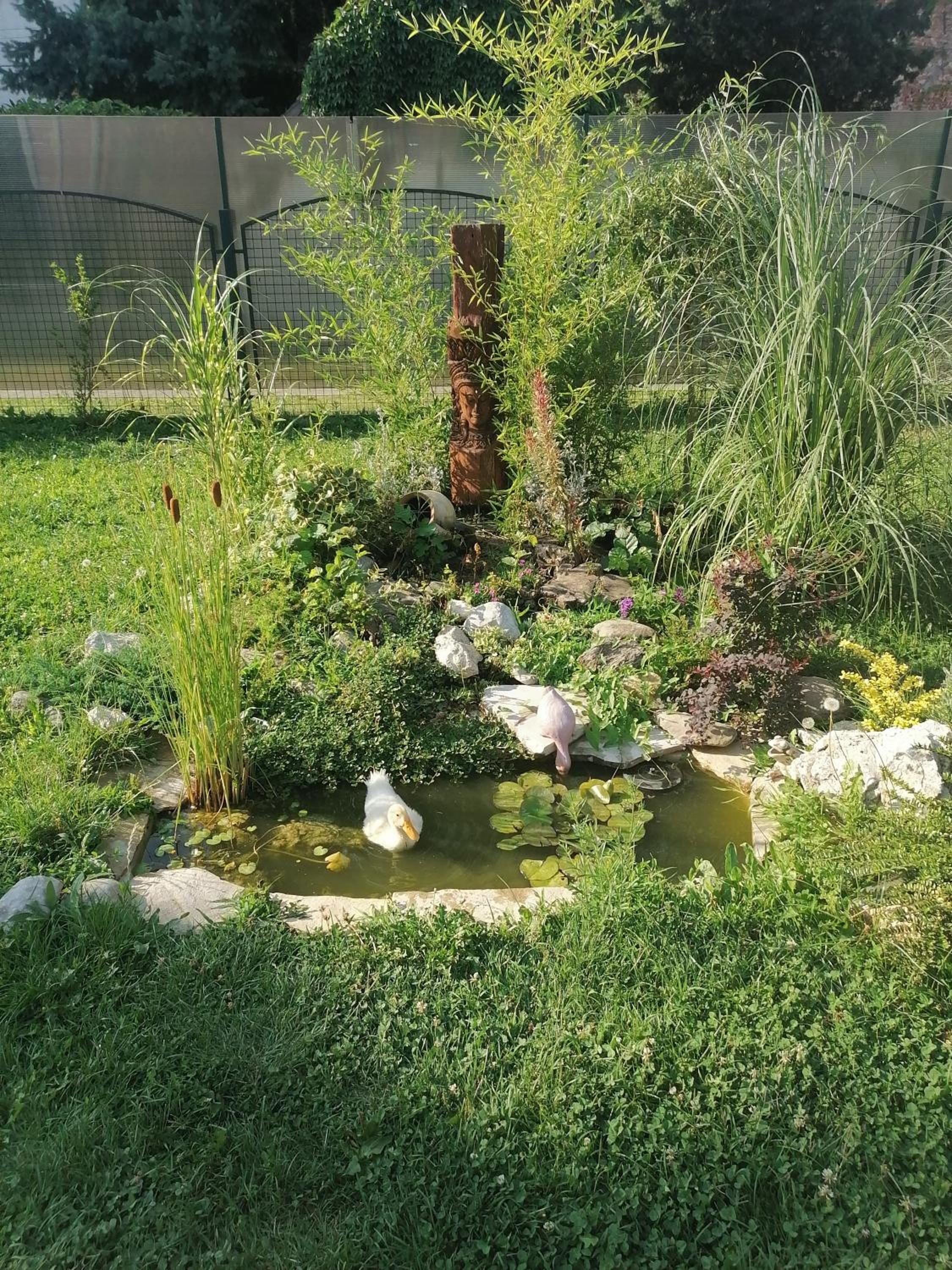 Apartman Garden House view 3