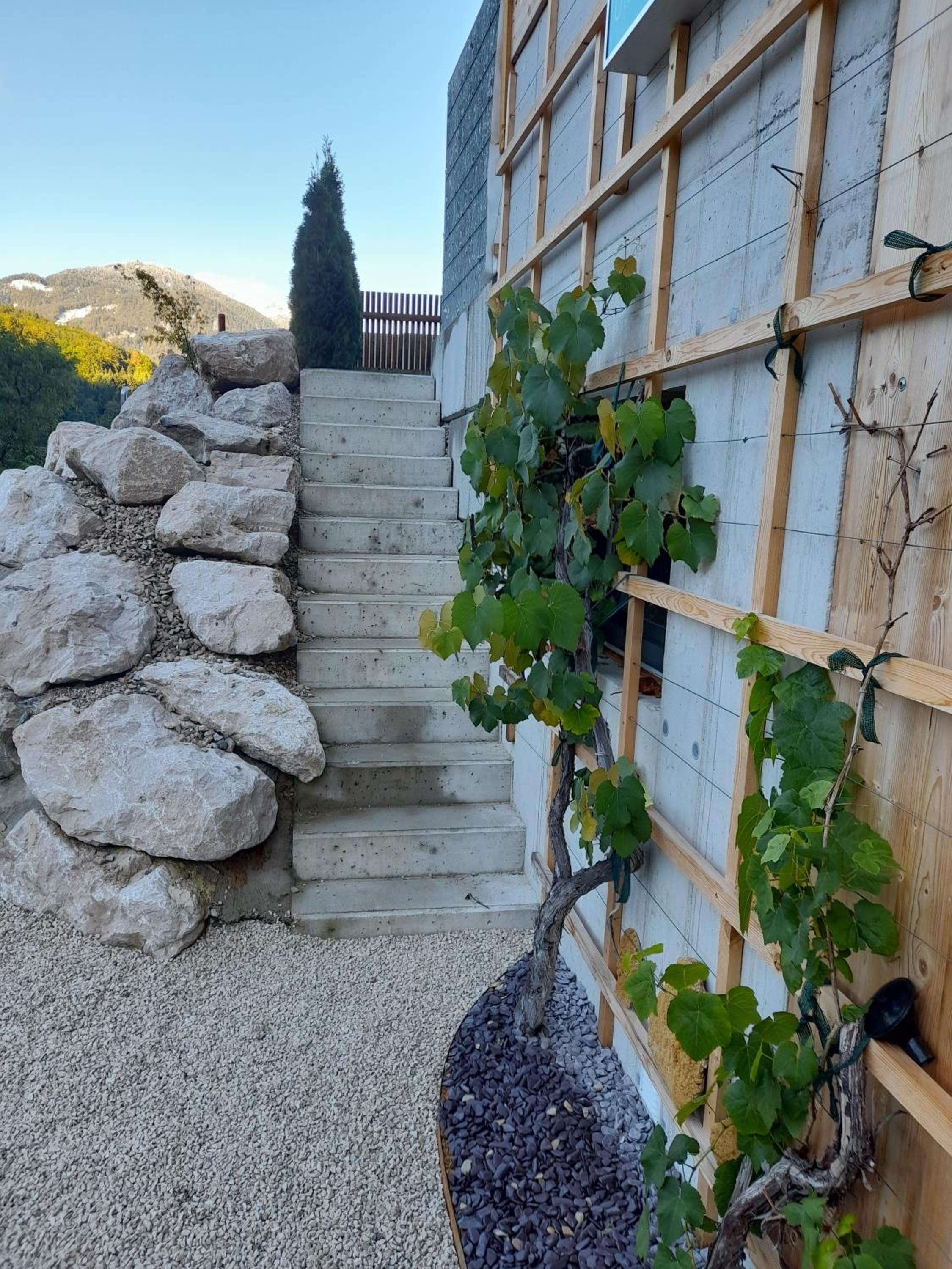 Auszeit am Weinbühel