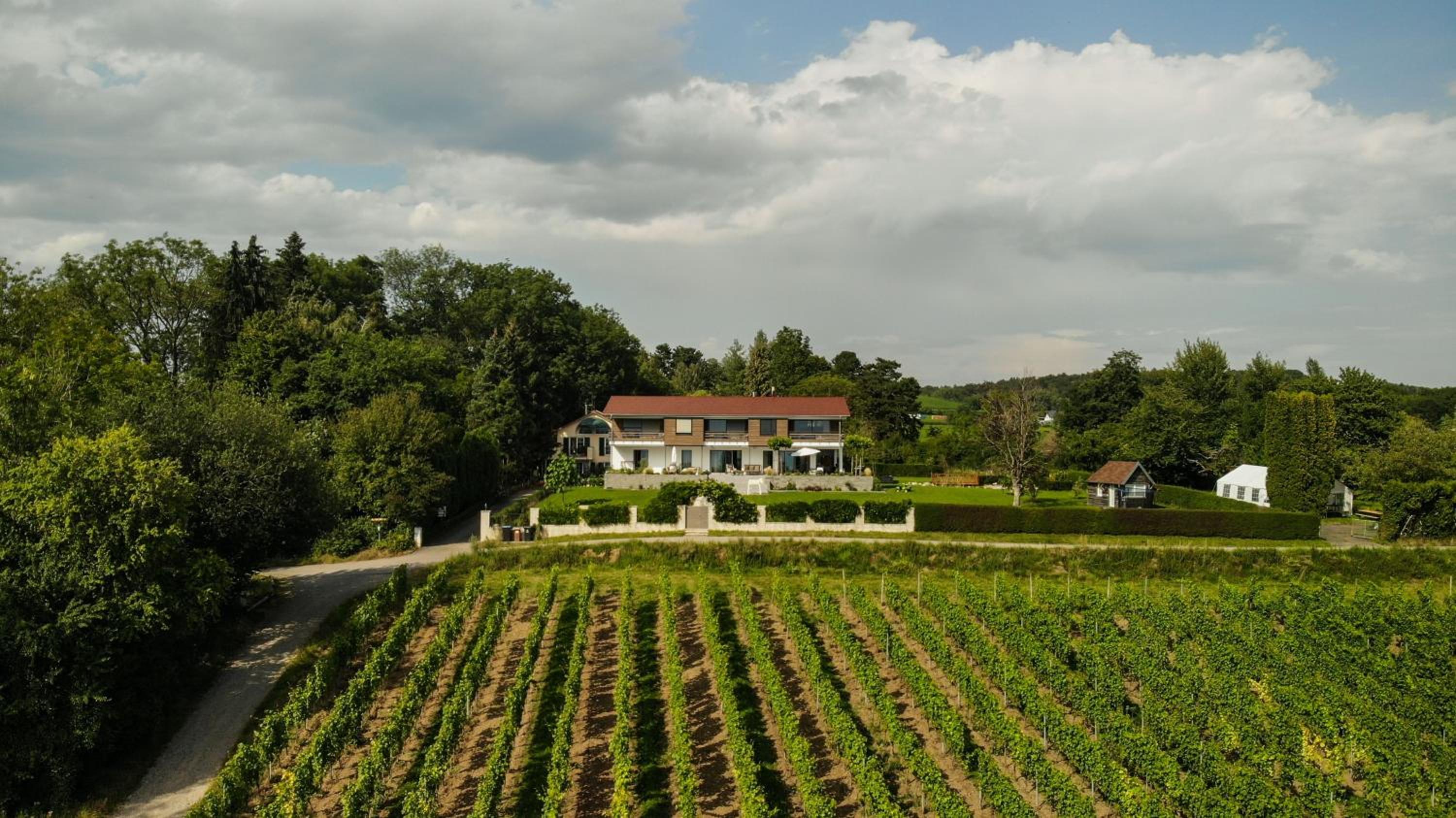 Rosenhof view 5