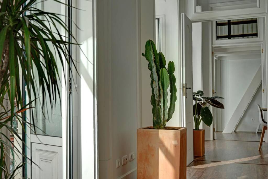 Unique Sao Bento apartment Ideal for a group