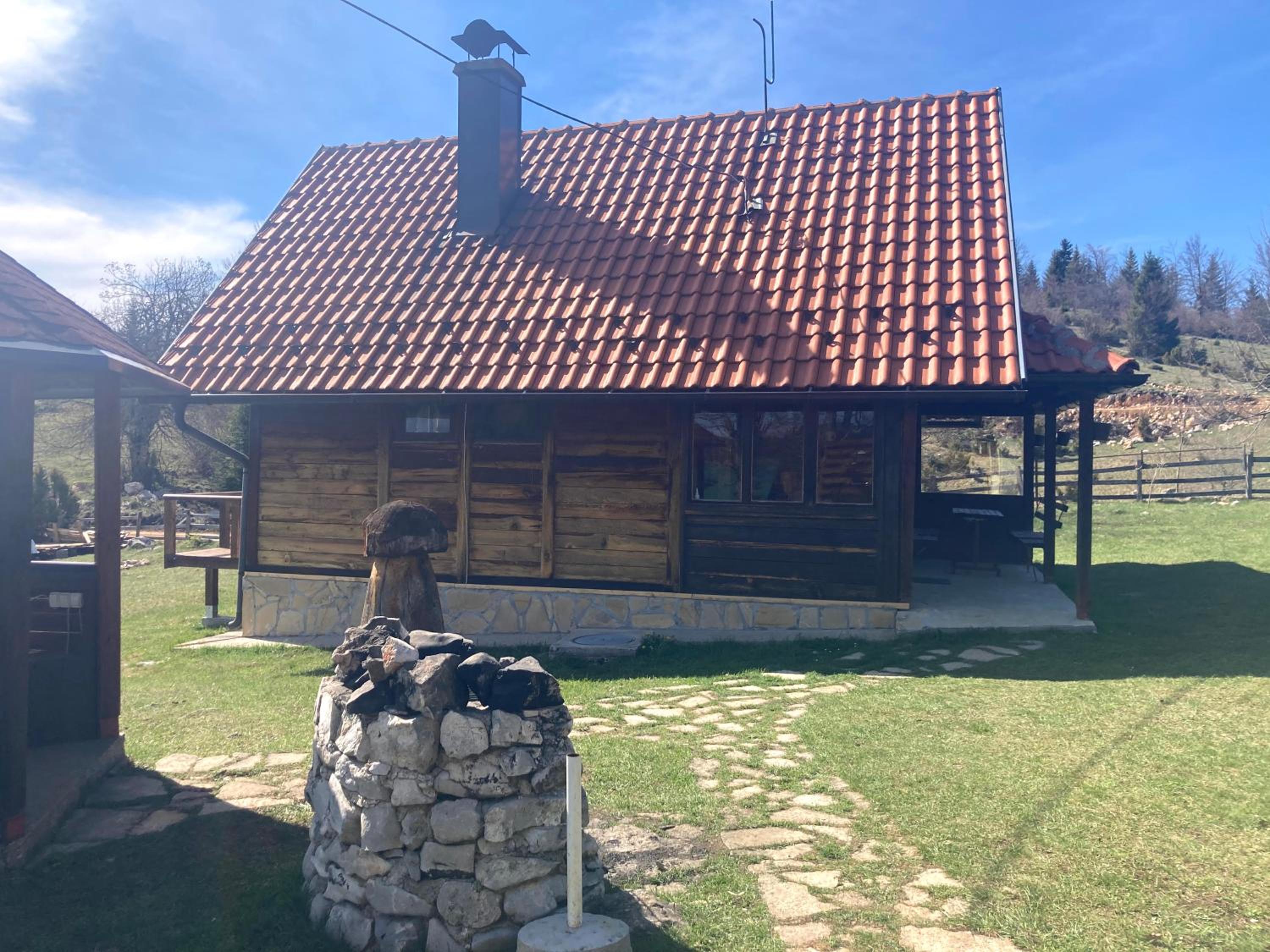 Photo 8