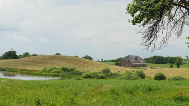 Photo 41