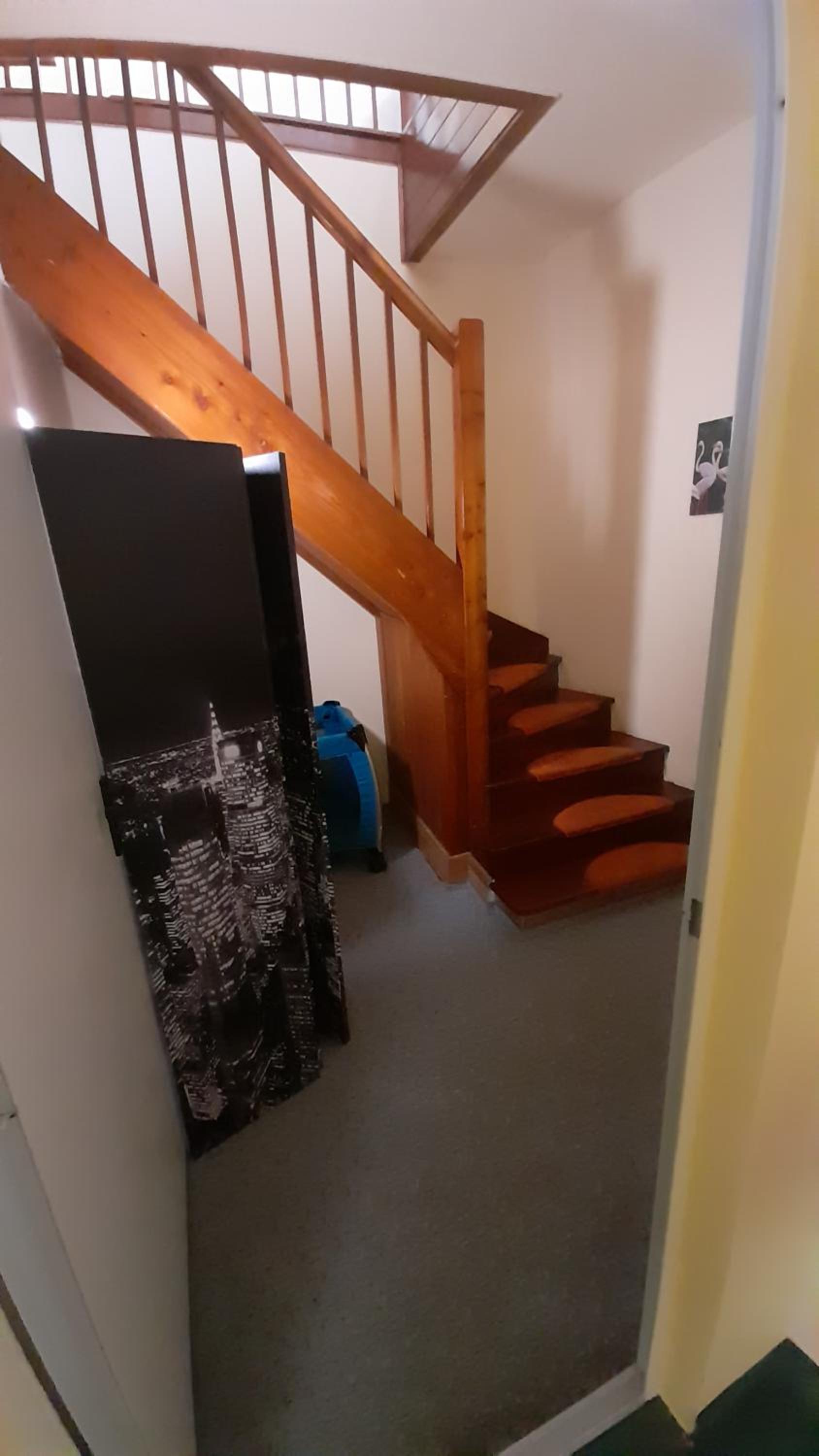 Jasmin Pension Central Location Shared Kitchen Pet Friendly
