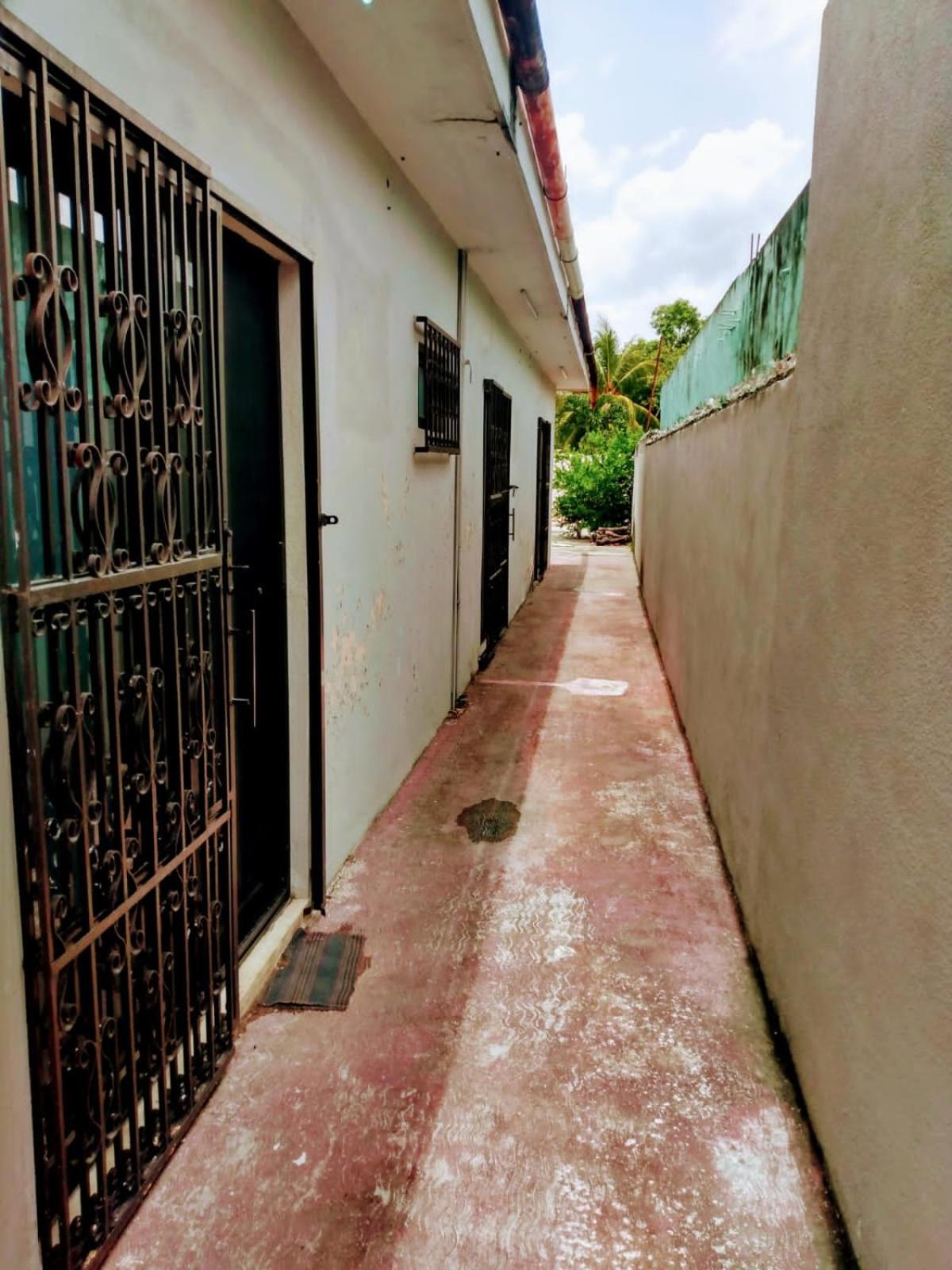 Casa Ixchel - 700m to Downtown, WiFi, Hot Water, AC view 3