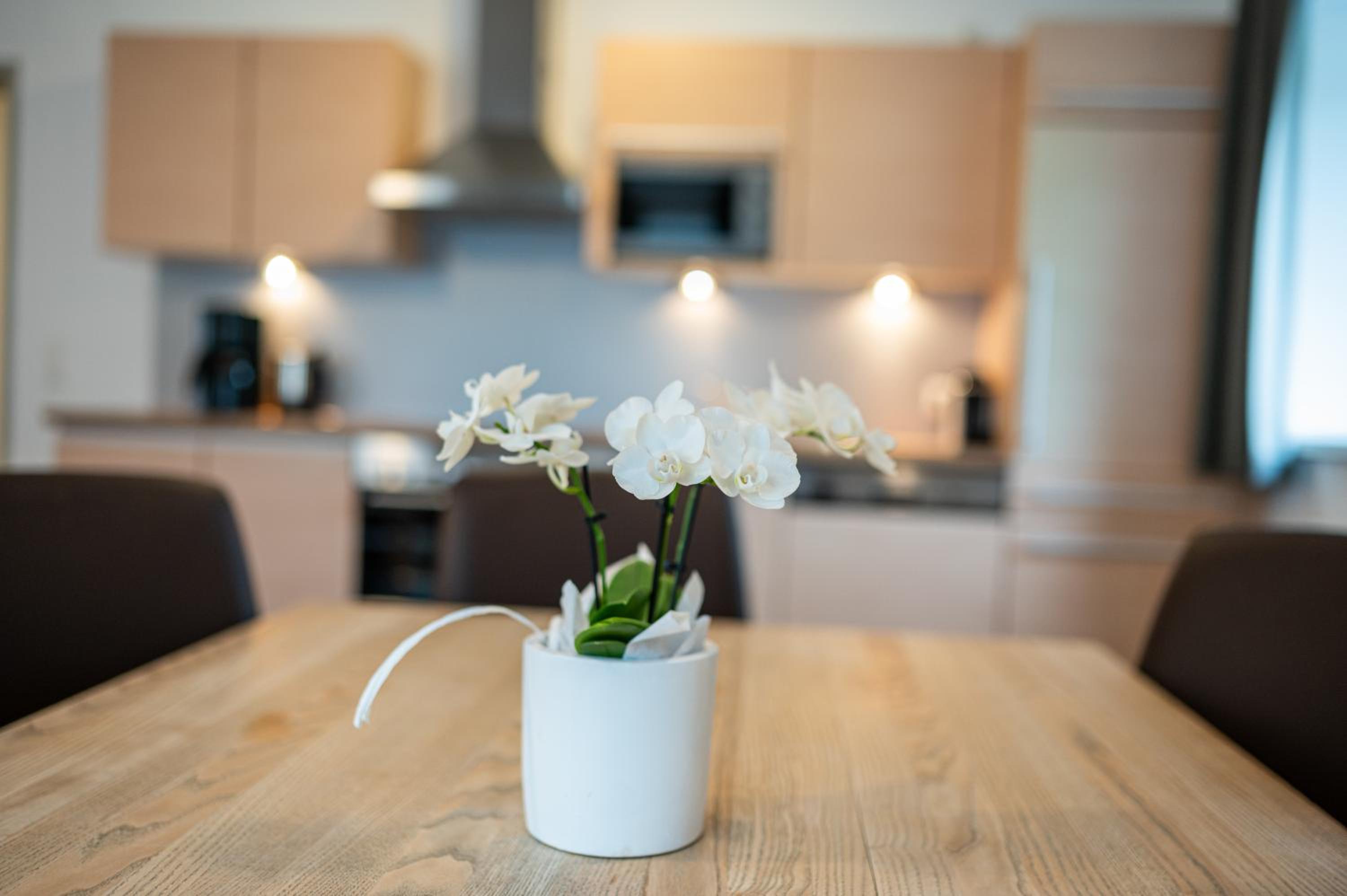 Appartements Insieme