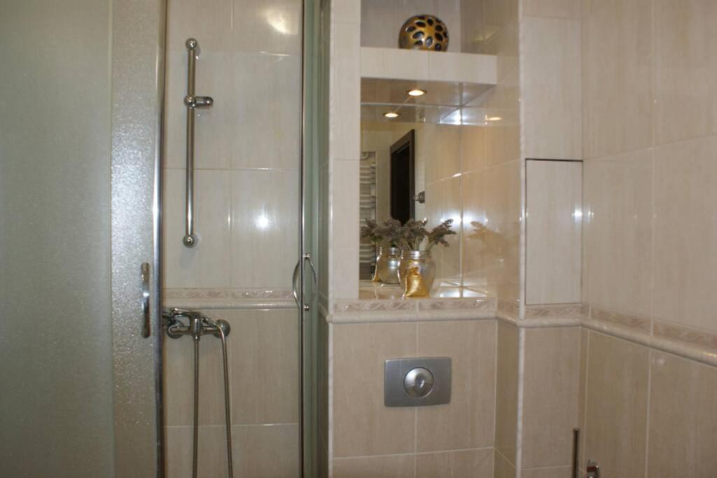 City center- large apartment with National Musee view view 3
