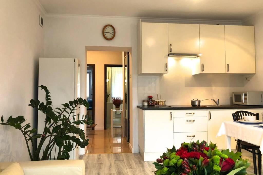City center- large apartment with National Musee view view 4