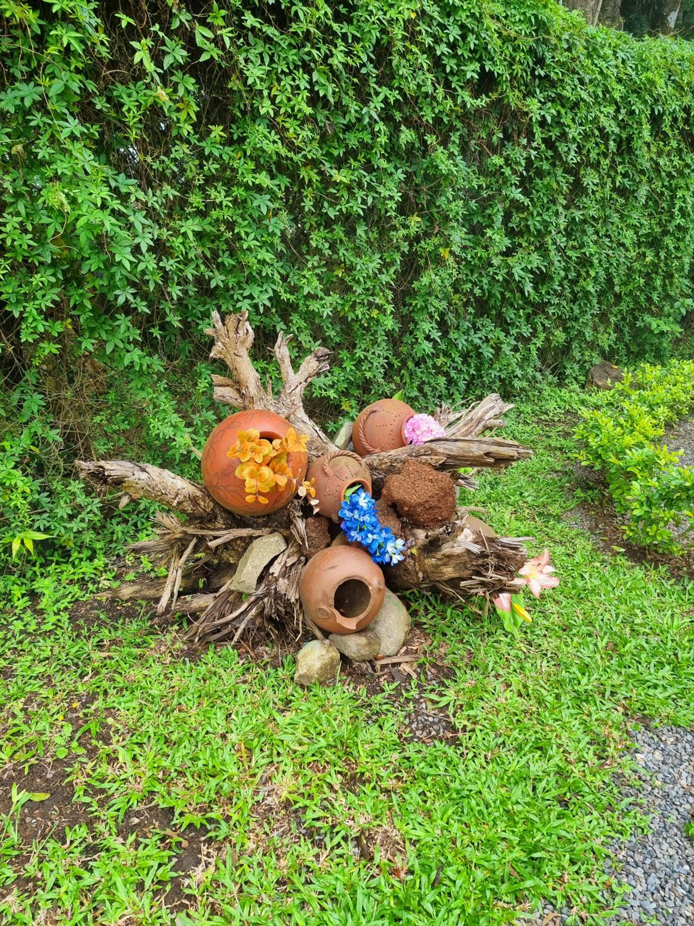 Calathea Hotel Monteverde