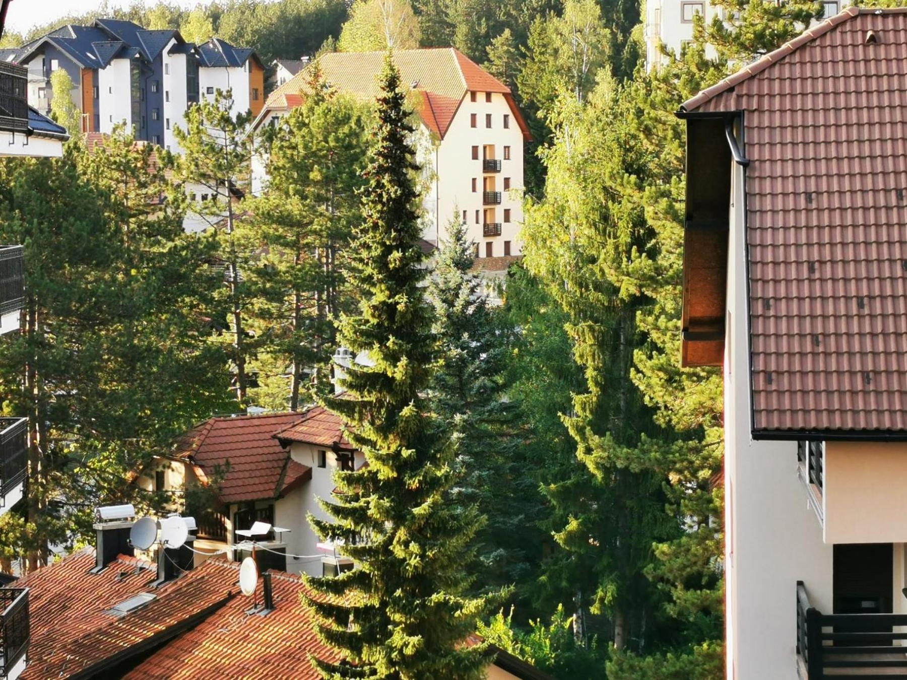 Zlatibor, centar, Villa Bella view 2