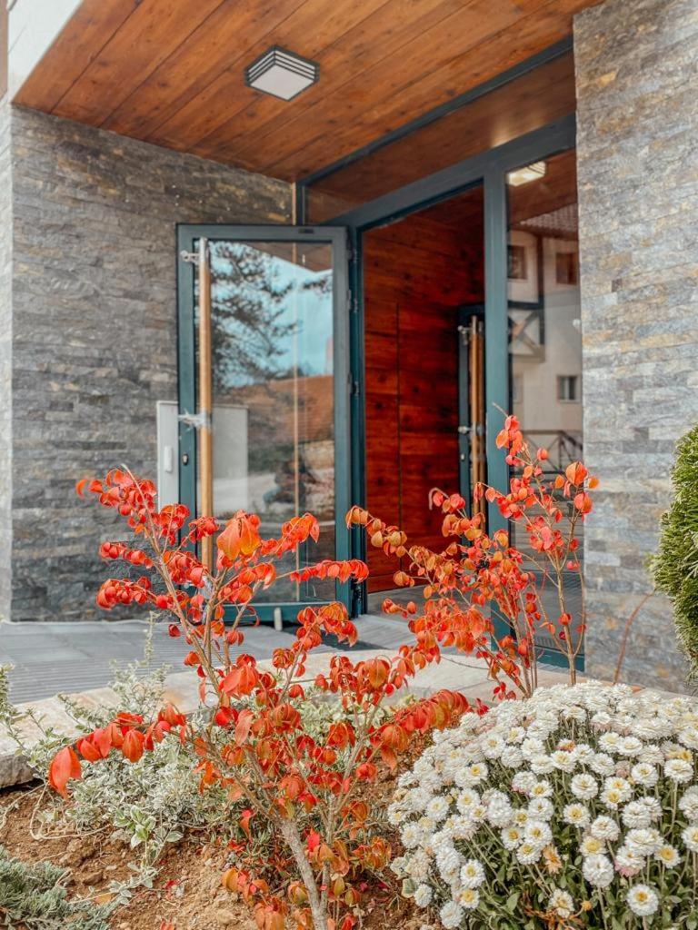 Zlatibor, centar, Villa Bella view 4