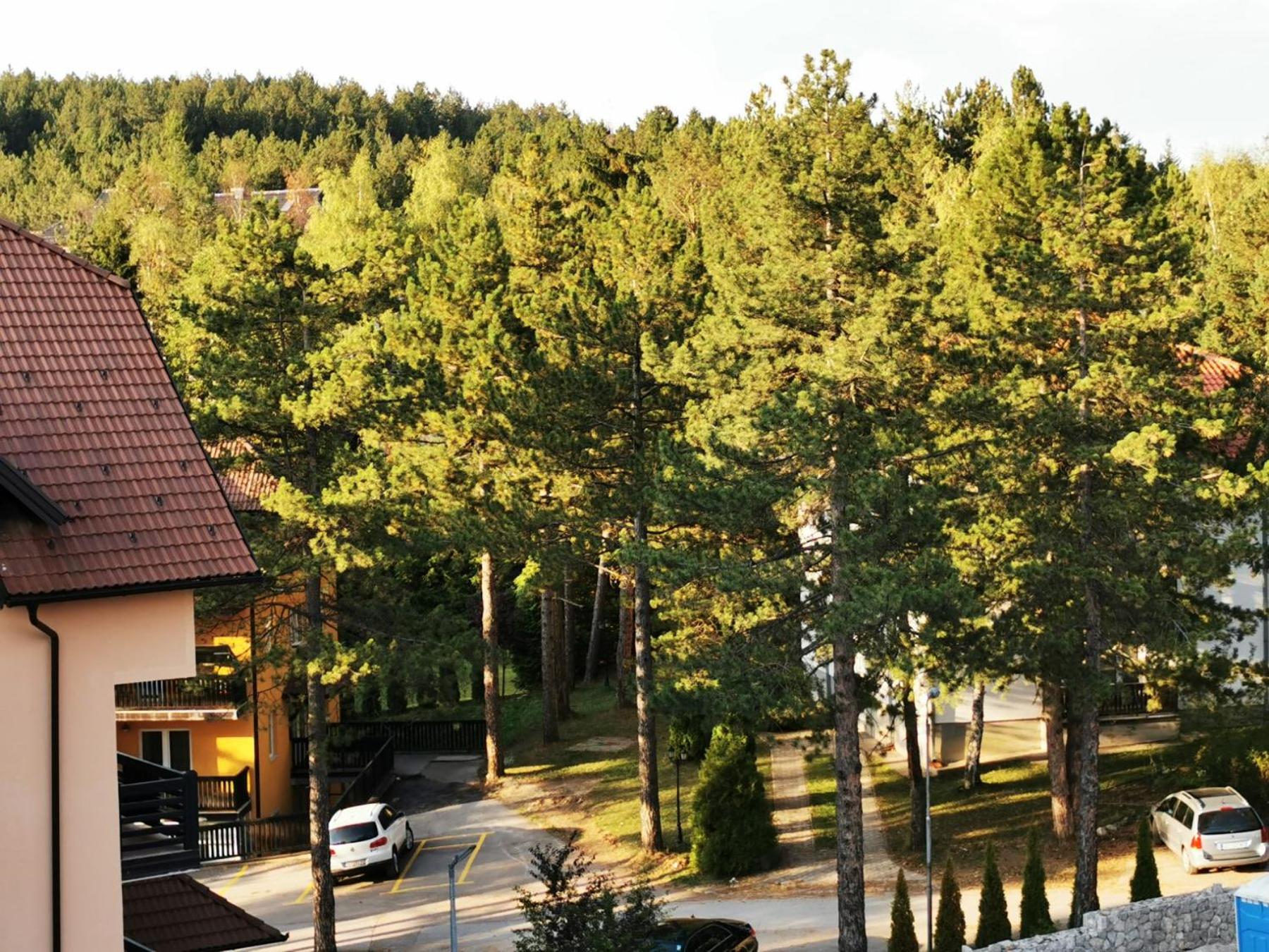 Zlatibor, centar, Villa Bella view 3