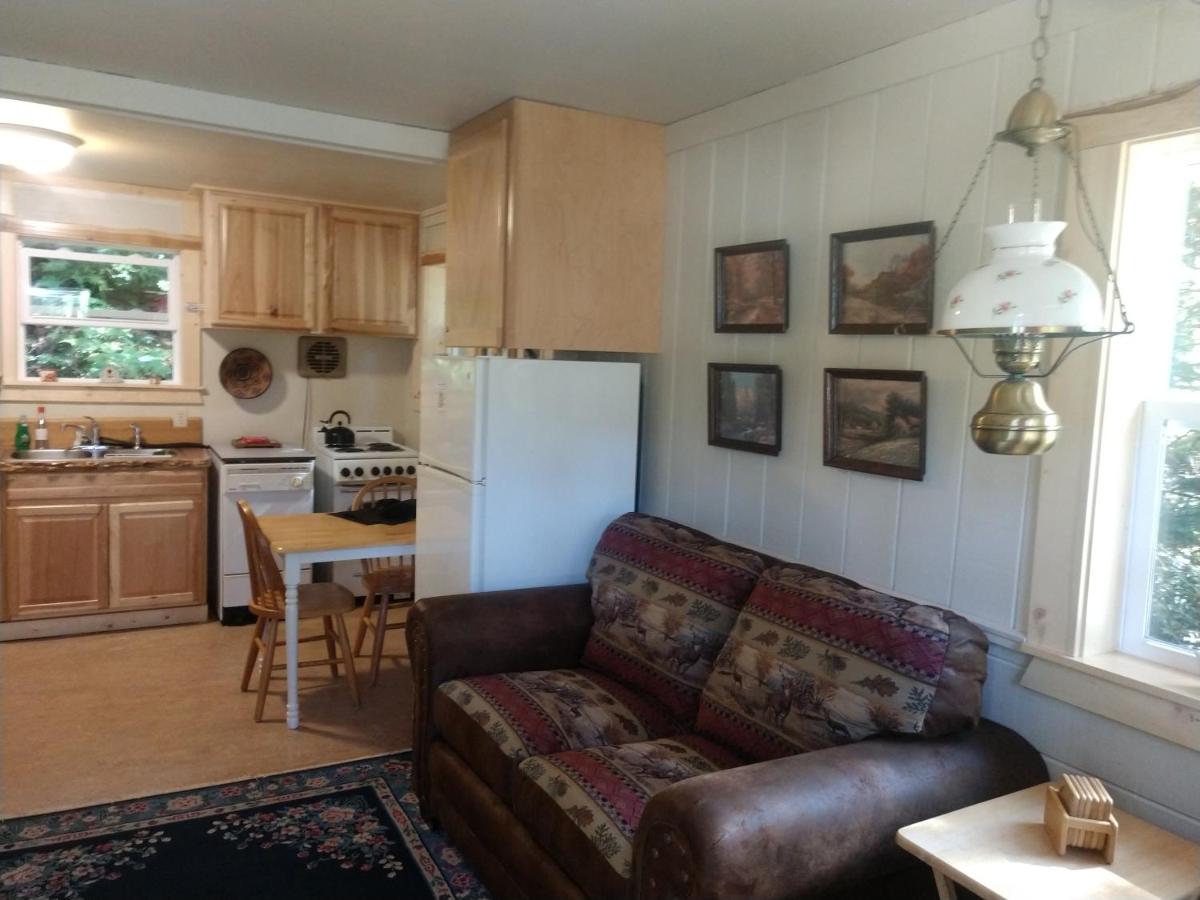 Mountainside Chalet - Tiny Home view 5