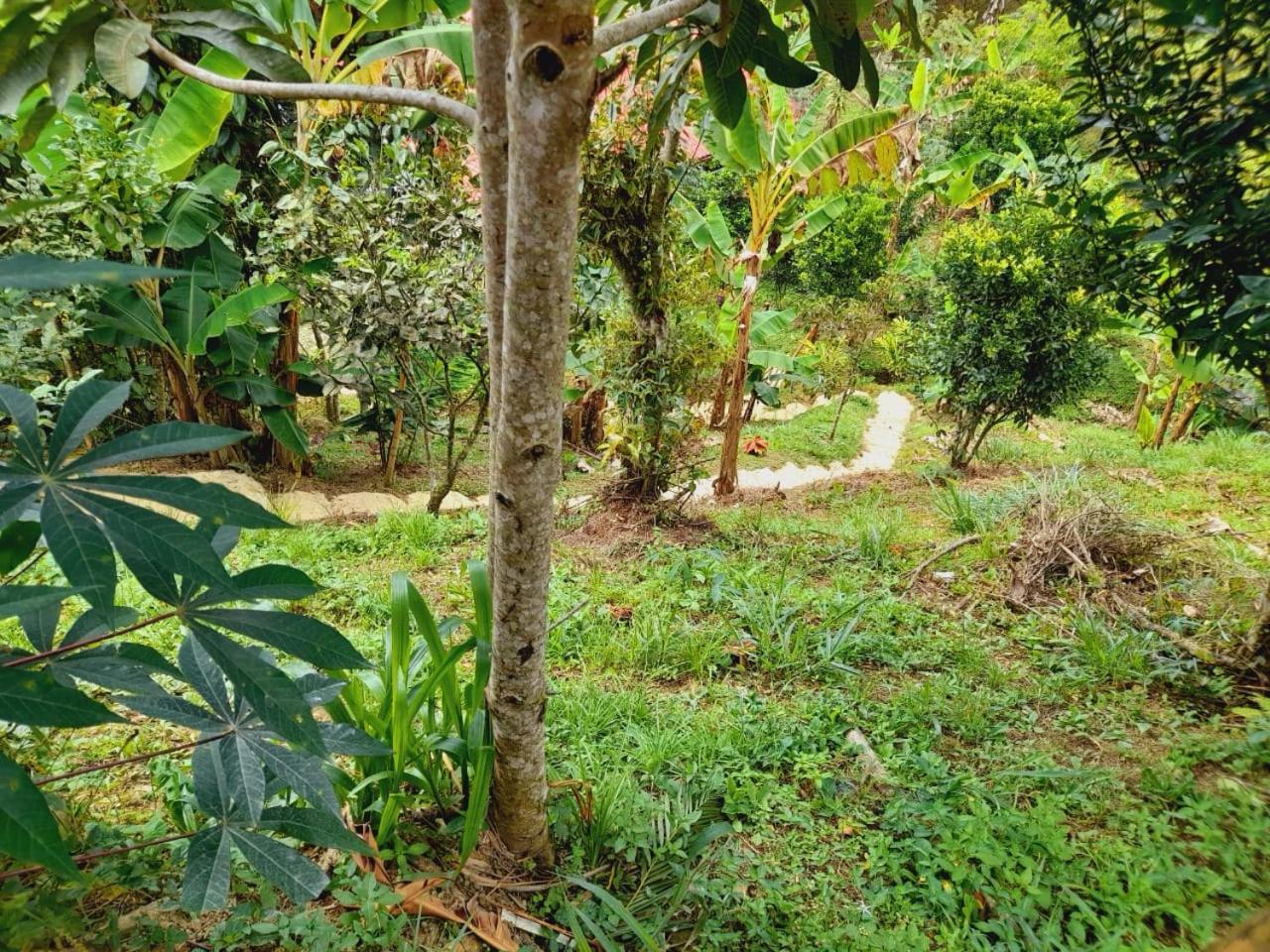 Cabaña en el Campo