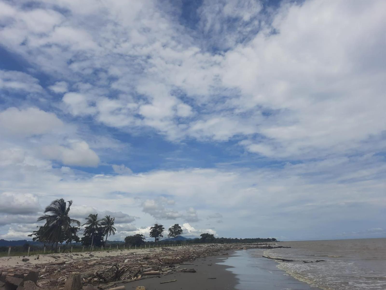Photo 40