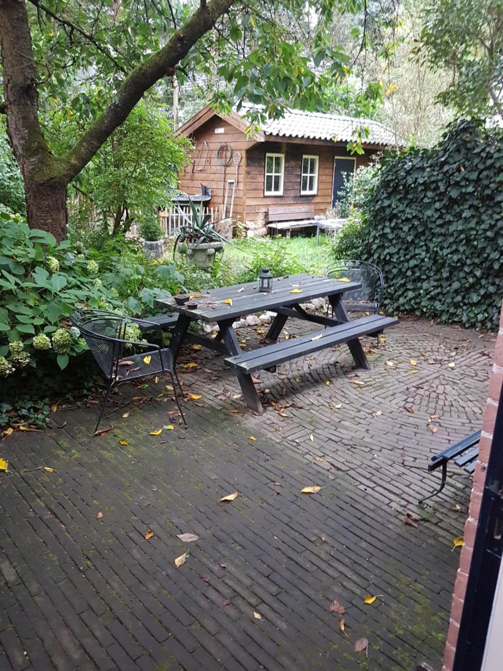 Photo 25
