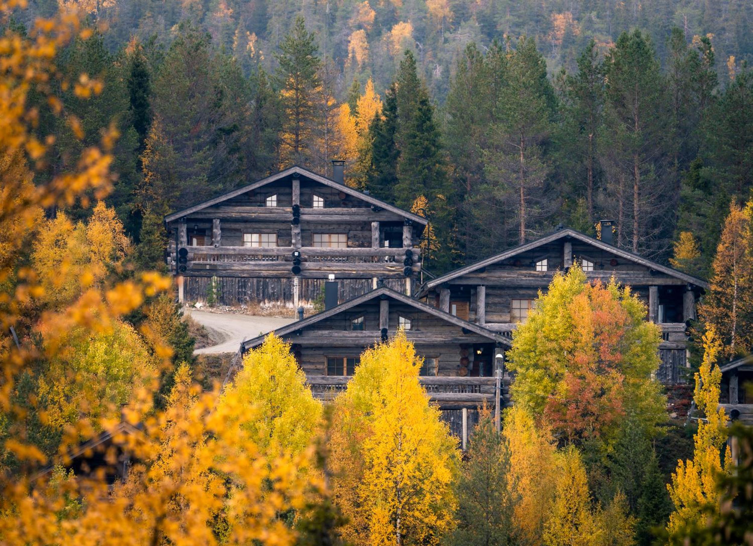 Hotel Saaruantähti Cottage - Image 1