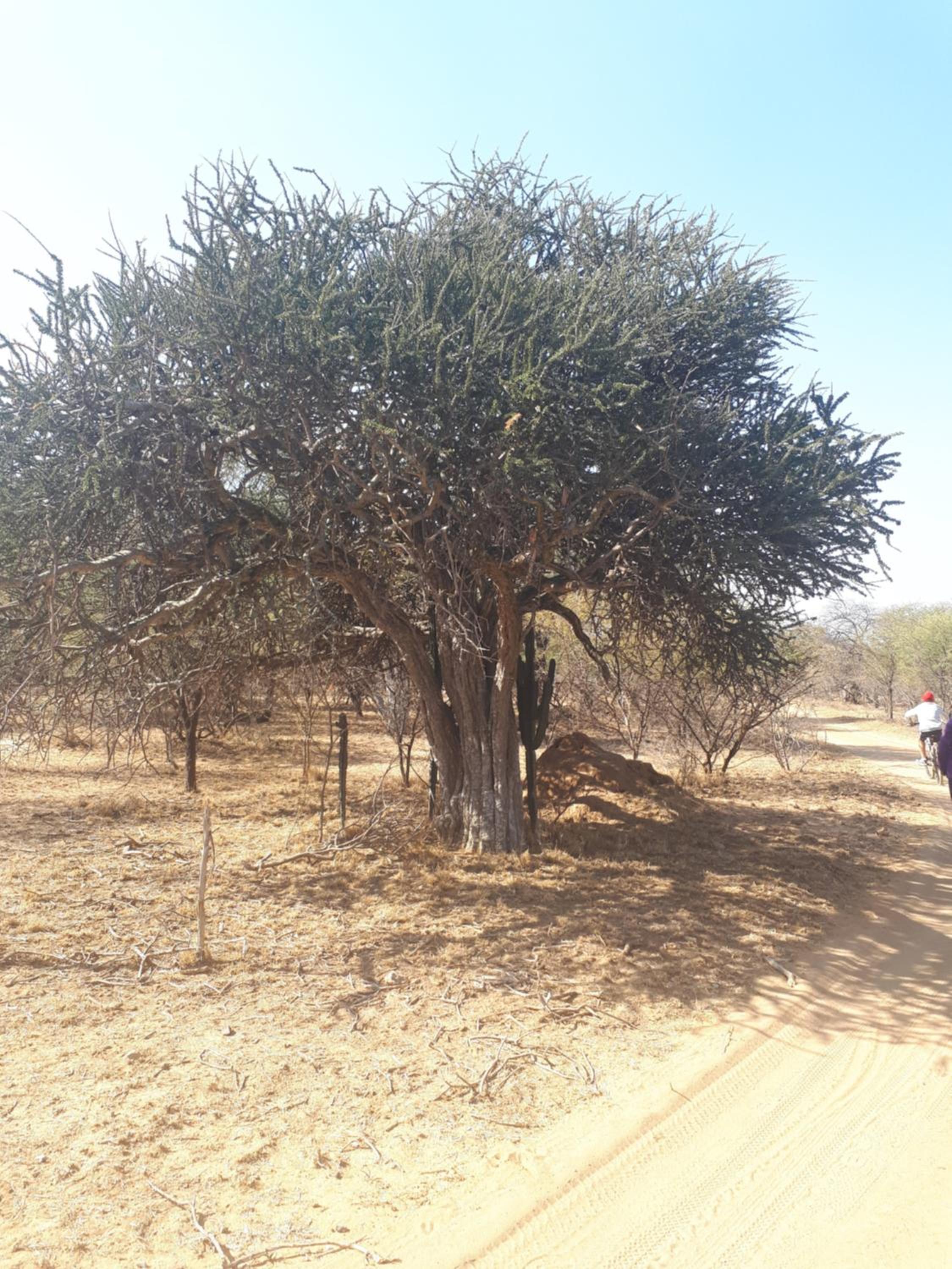 KweKwe Private Game Lodge view 3