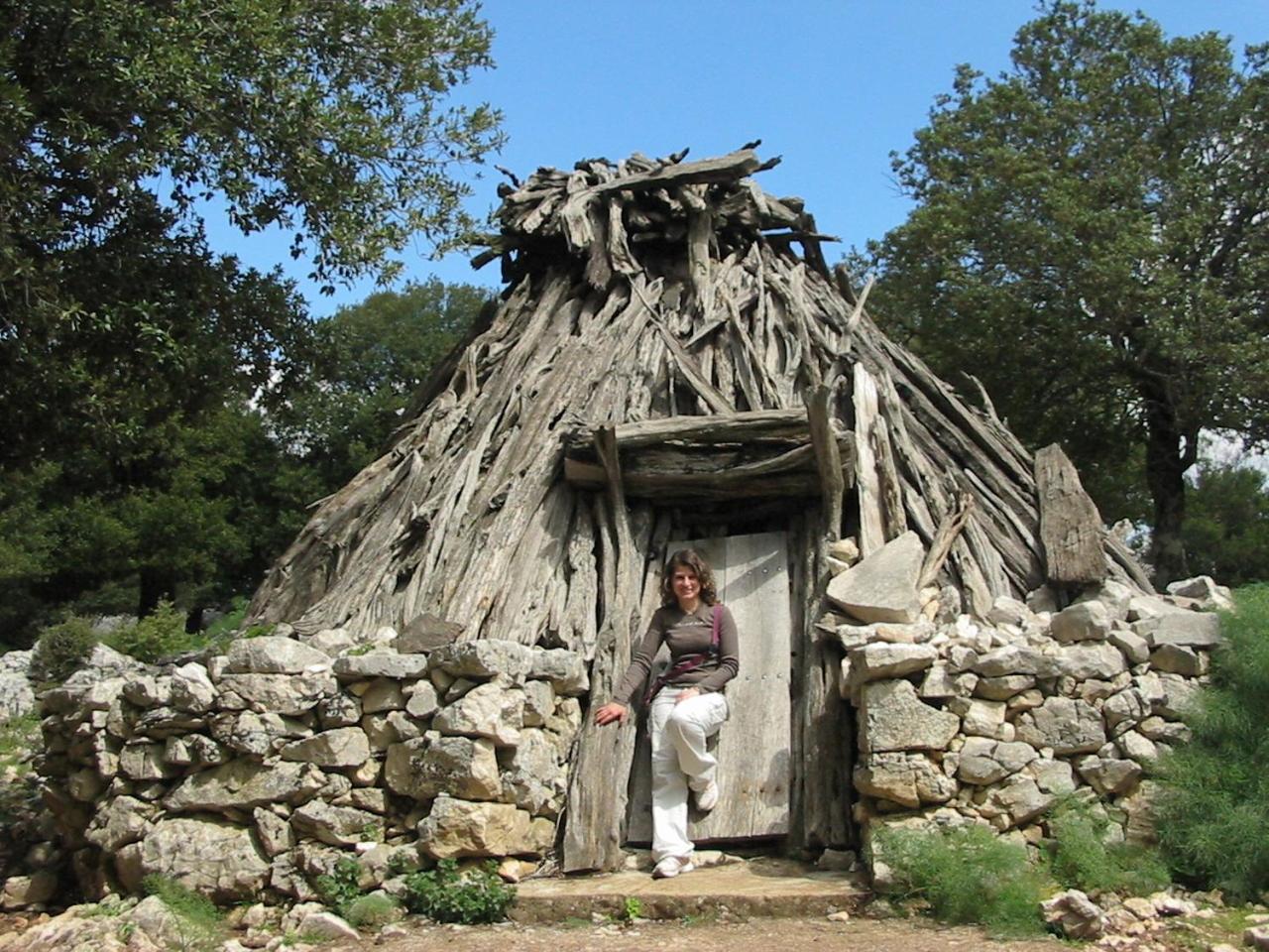 Photo 42