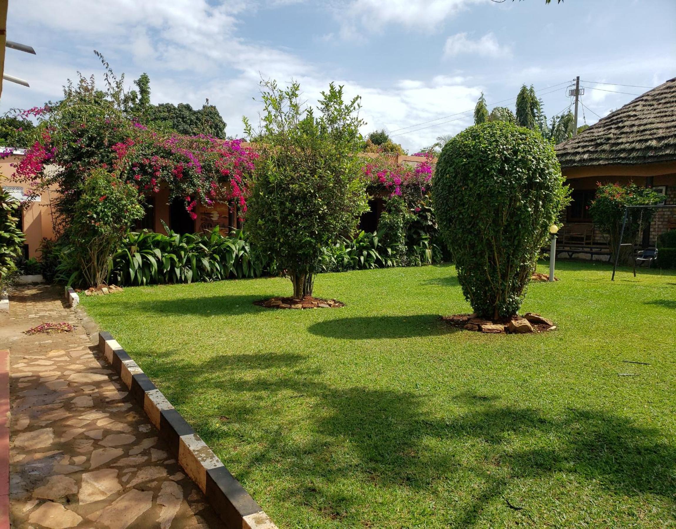 Gorilla African Guest House