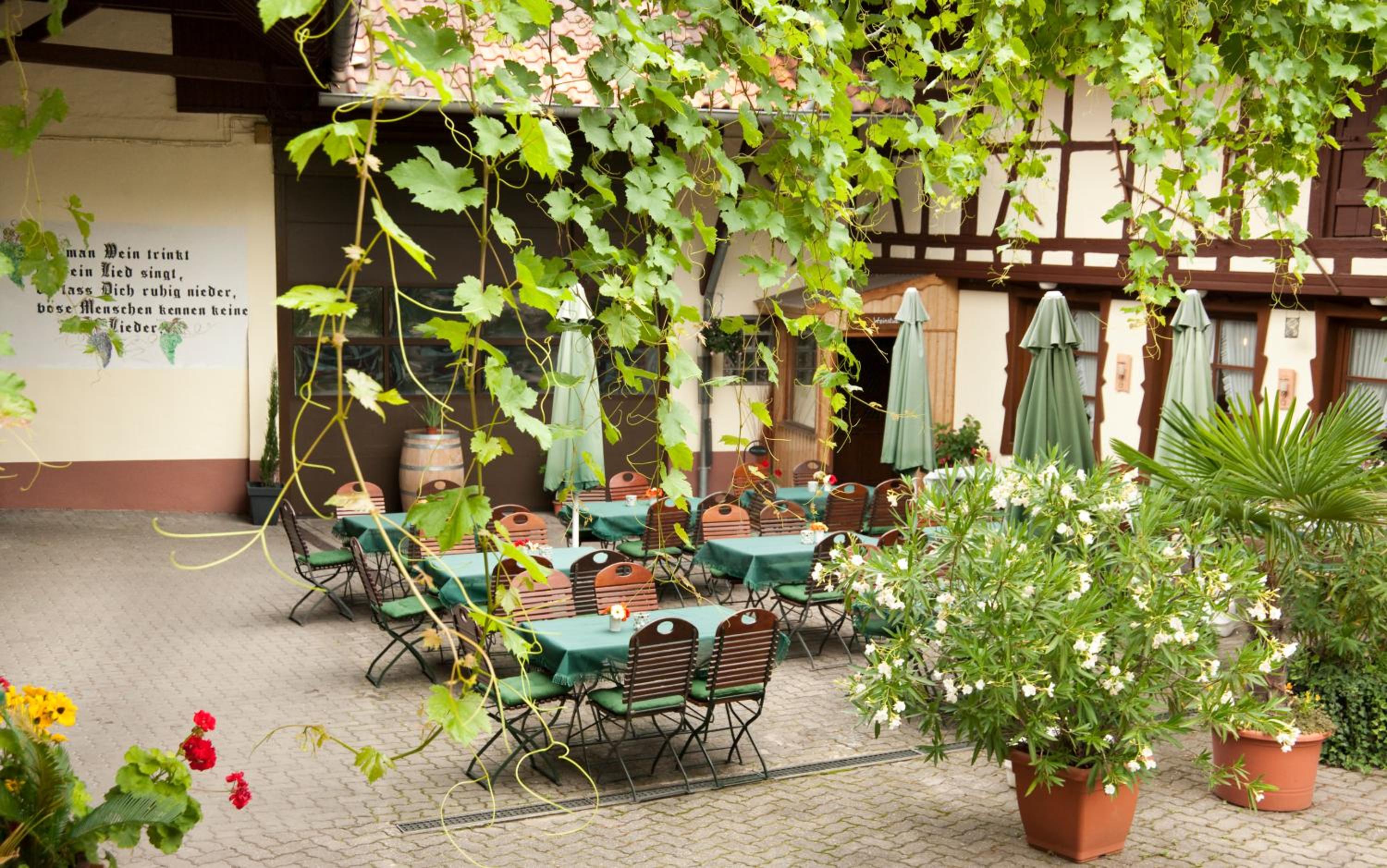 Weingut und Gästehaus Vongerichten