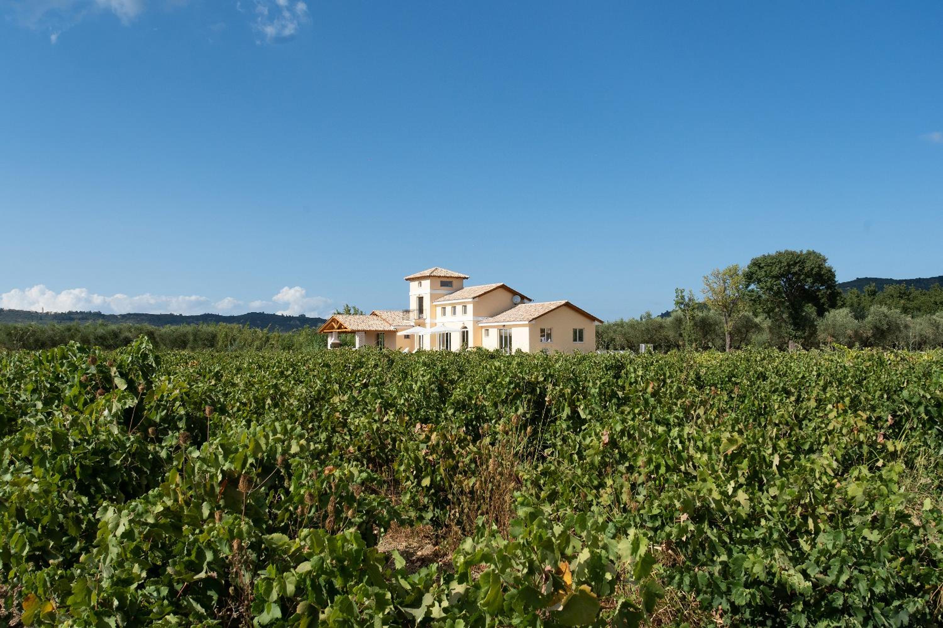 Aneli Luxury Villas - Villa Semeli