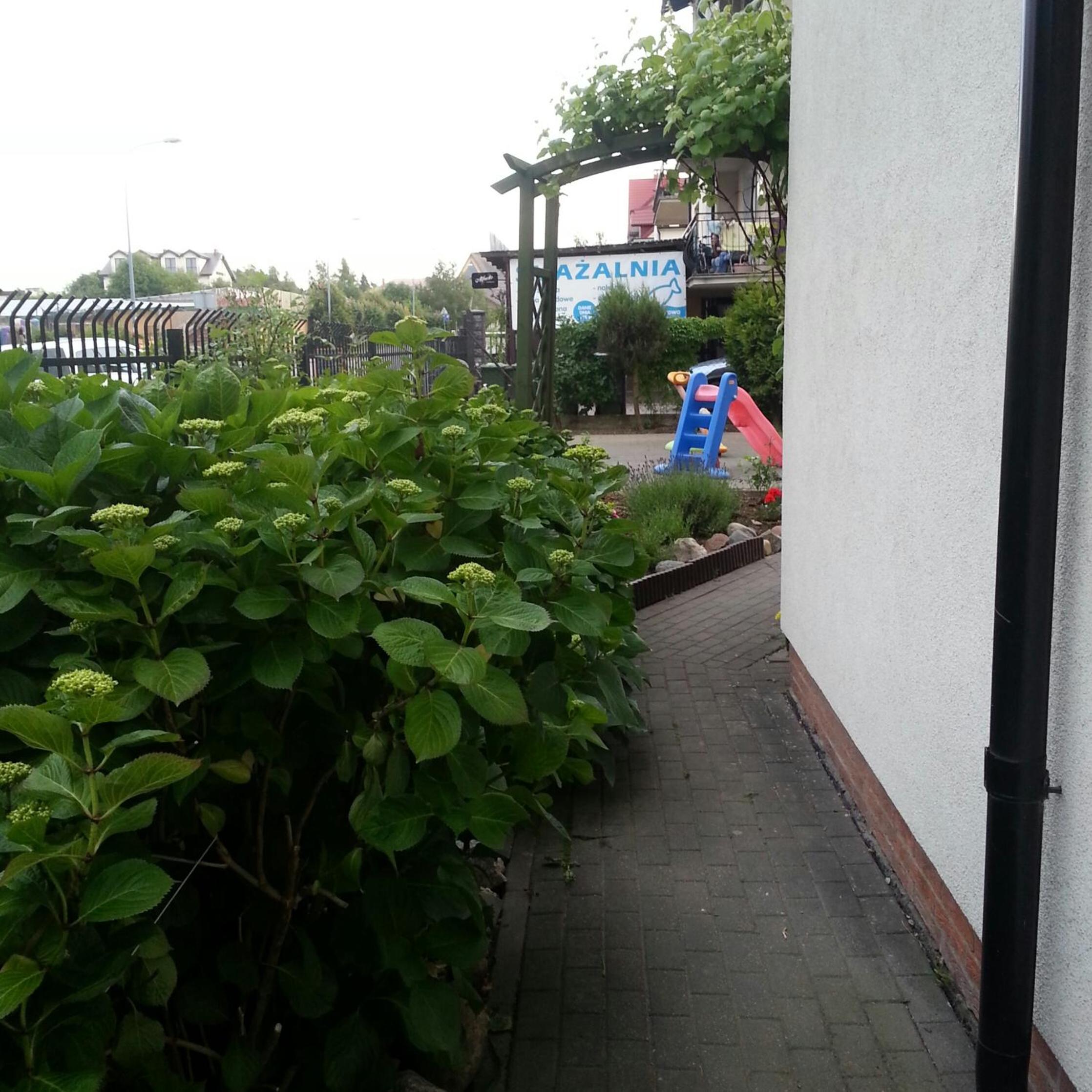 Photo 15
